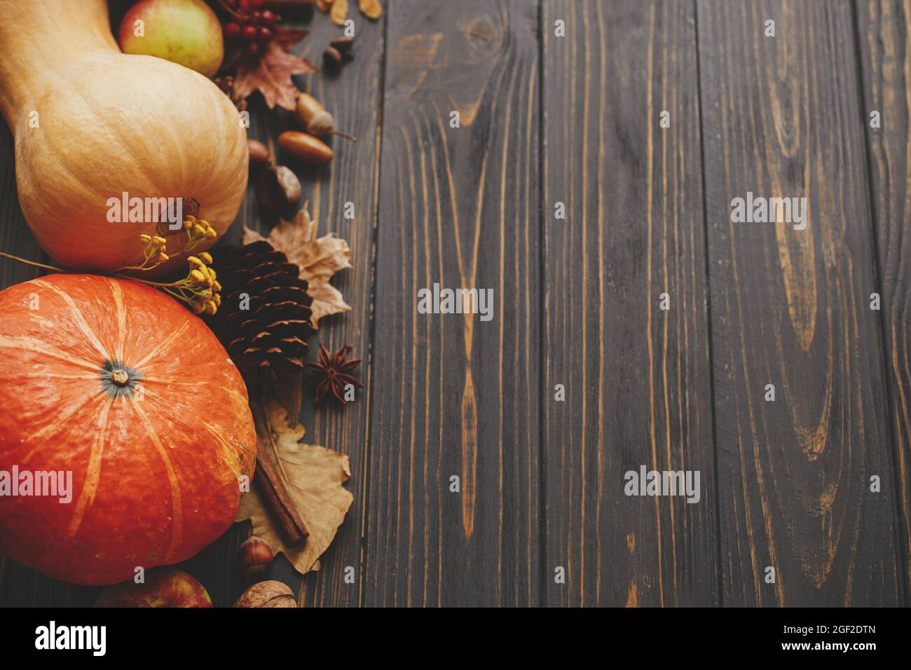 Buon Ringraziamento. Zucche, foglie autunnali, anice, ghiande, cannella bordo su legno scuro rustico con spazio per il testo. Ciao autunno. Raccolto Foto Stock