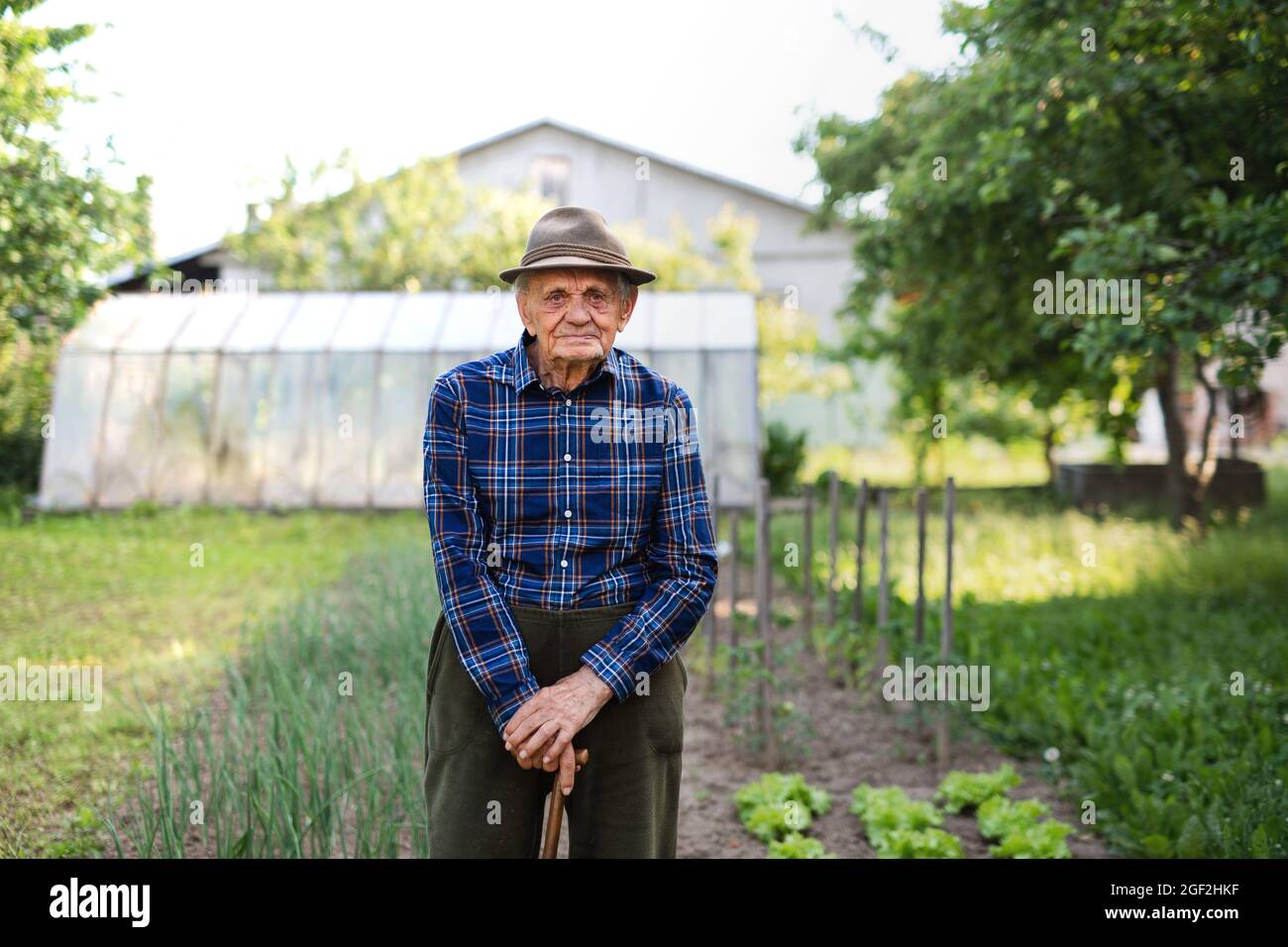 Ritratto di uomo anziano triste in piedi all'aperto in giardino, guardando la macchina fotografica. Foto Stock