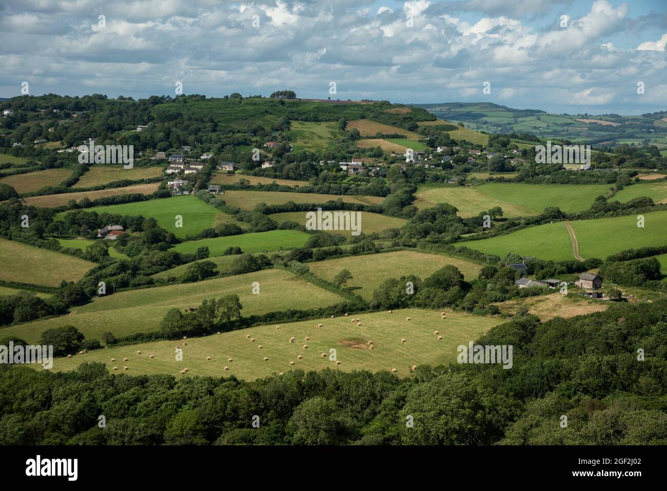 Campagna Dorset, vicino a Golden Cap, Dorset, Regno Unito. Foto Stock
