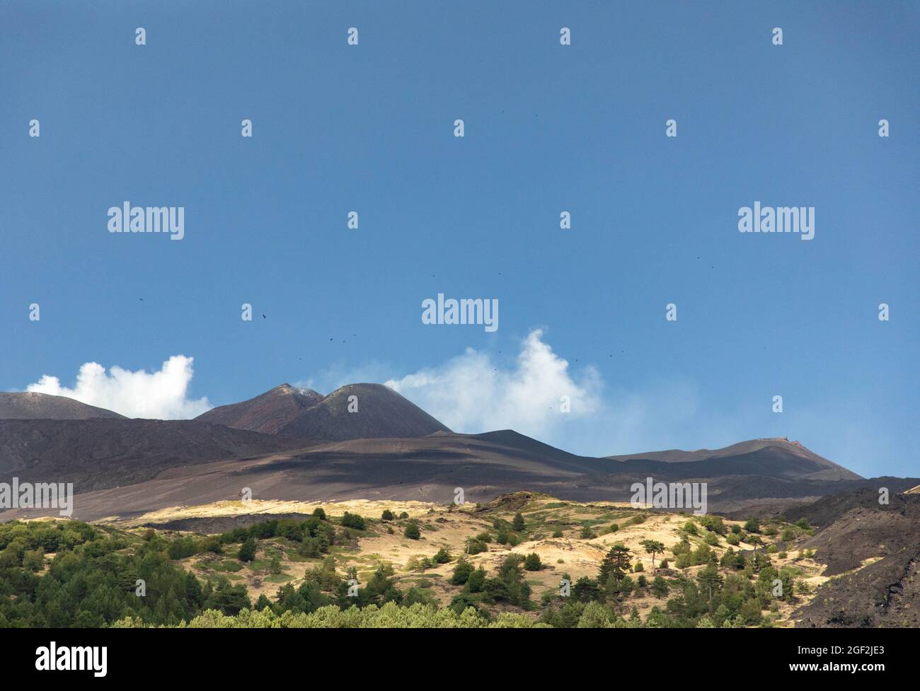 Cratere Etna e paesaggio del bosco verde tra le colate laviche e cielo blu; Vacanze e avventure in Sicilia Foto Stock