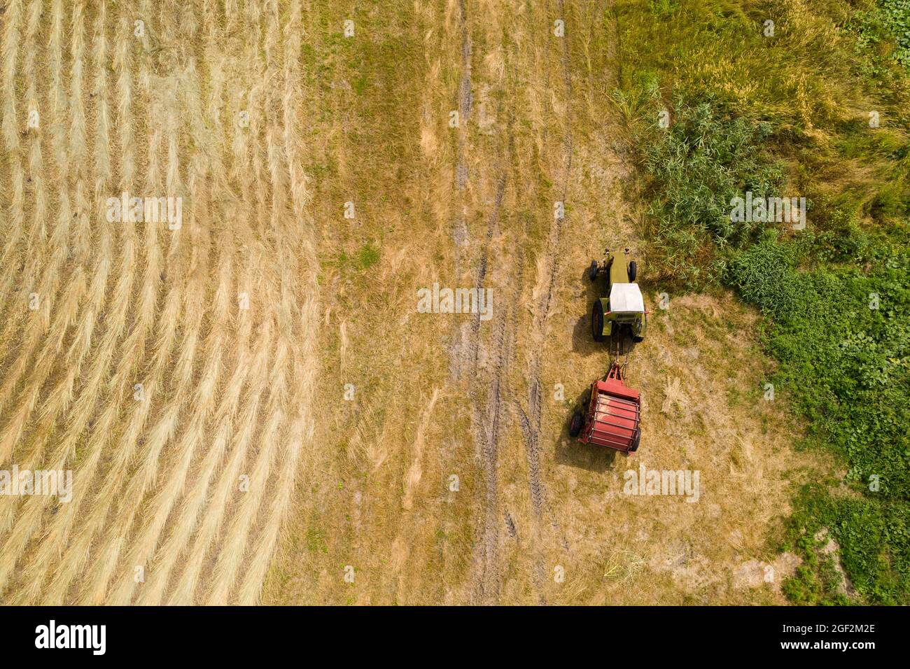 Trattore per la produzione di balle di paglia su campo di grano raccolto. Vista aerea Foto Stock