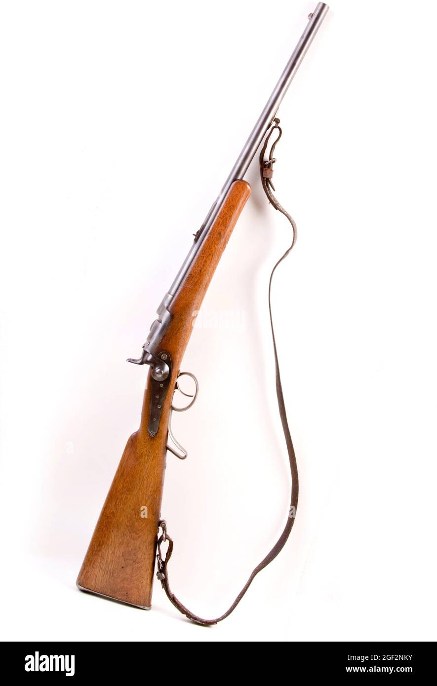 Fucile da caccia Werndl 1867 Foto Stock