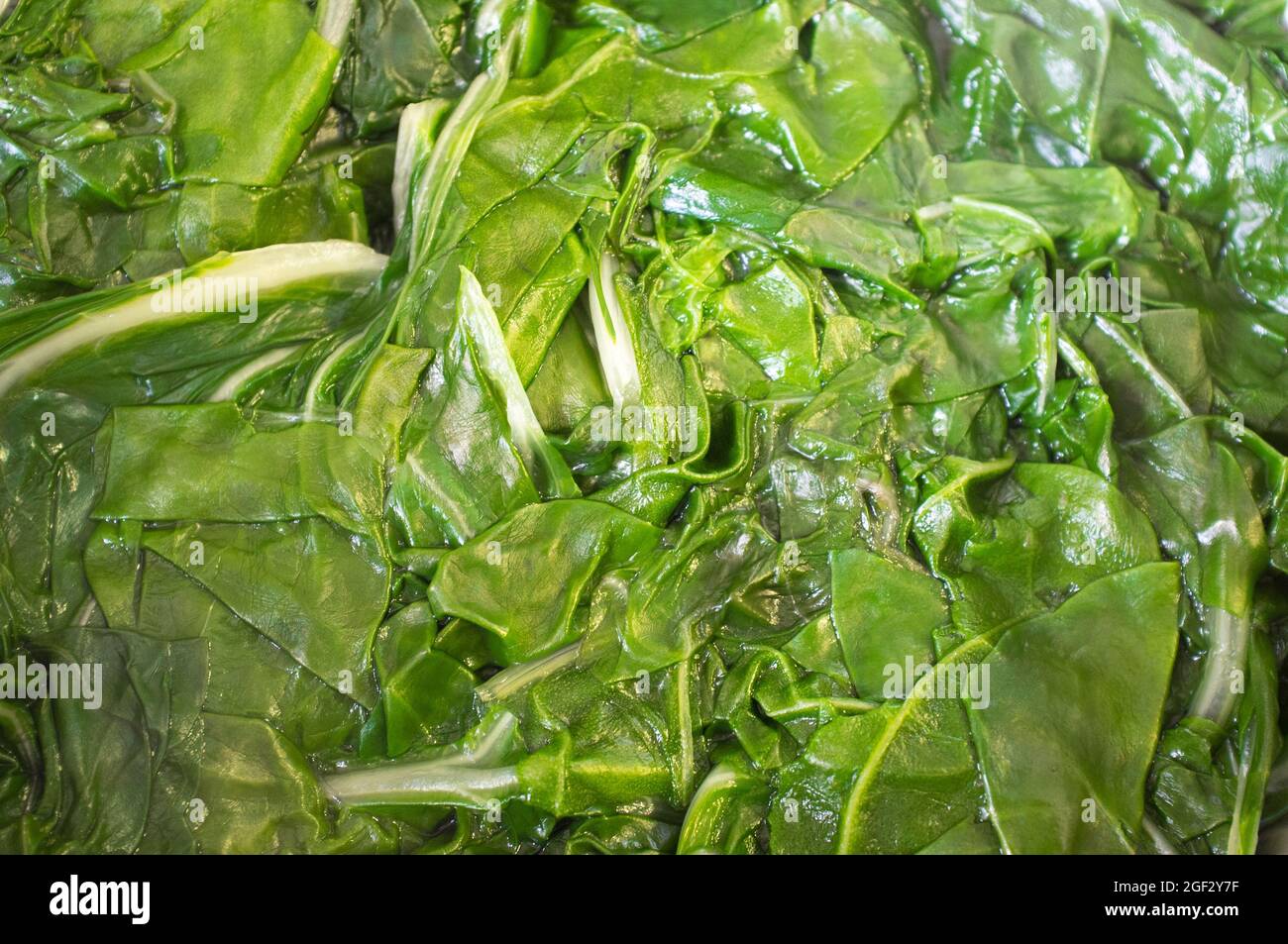 Spinaci bolliti sul colino. Messa a fuoco selettiva Foto Stock Spinaci bolliti sul colino. Messa a fuoco selettiva Foto Stock