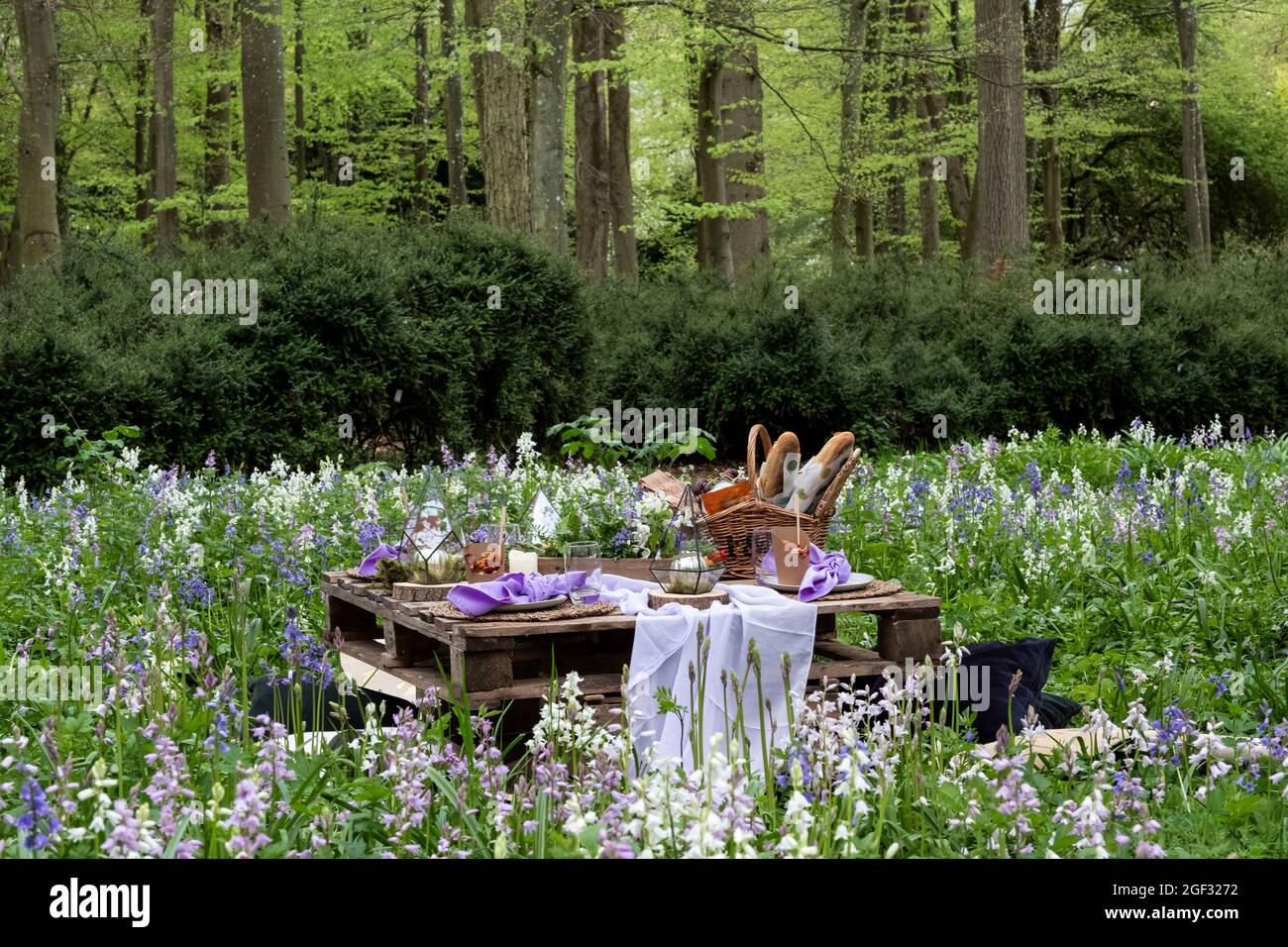 Rustico tavolo da picnic con cibo in un prato di primavera per una cerimonia di denominazione boschiva. Foto Stock