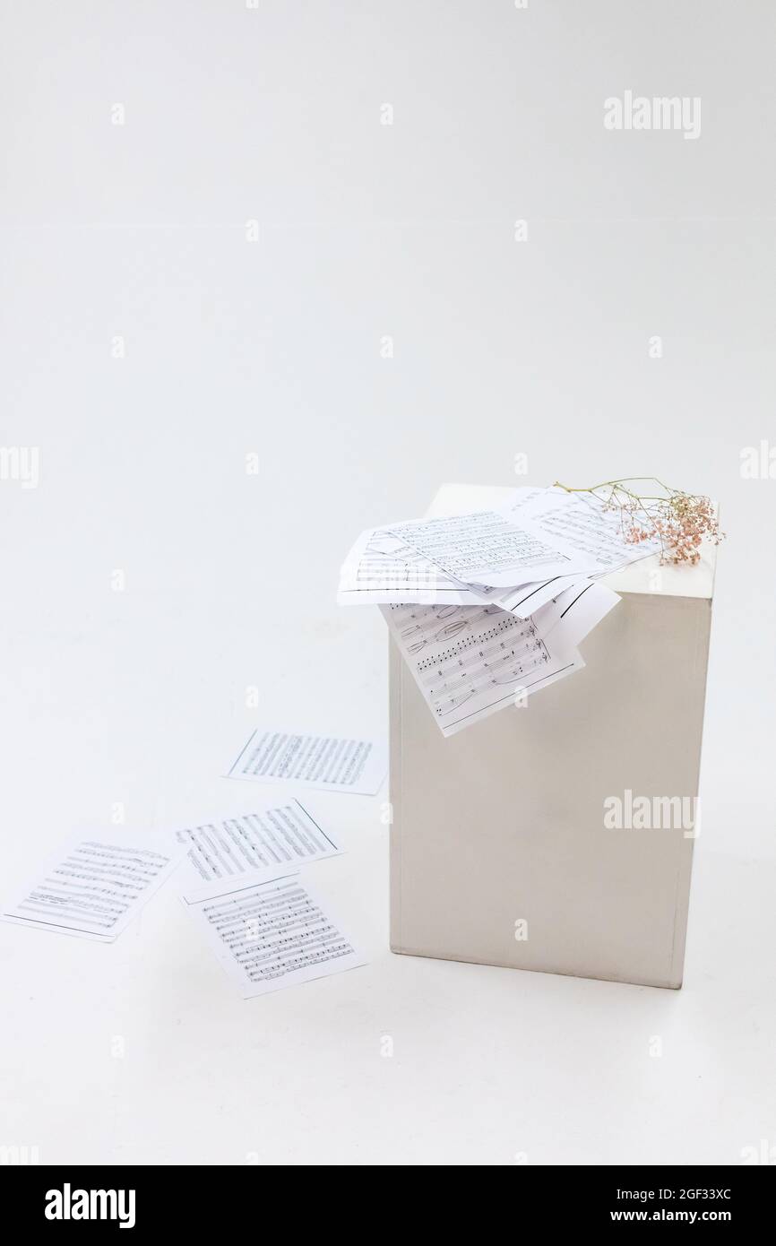 Note musicali su sfondo bianco Foto Stock