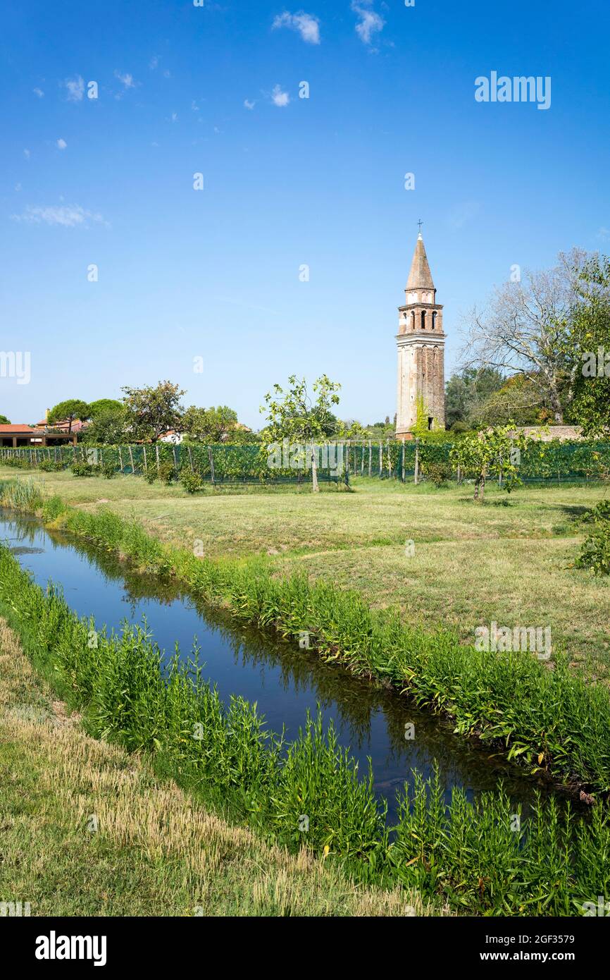 Campi in Mazzorbo, Isola di Burano, Italia Foto Stock