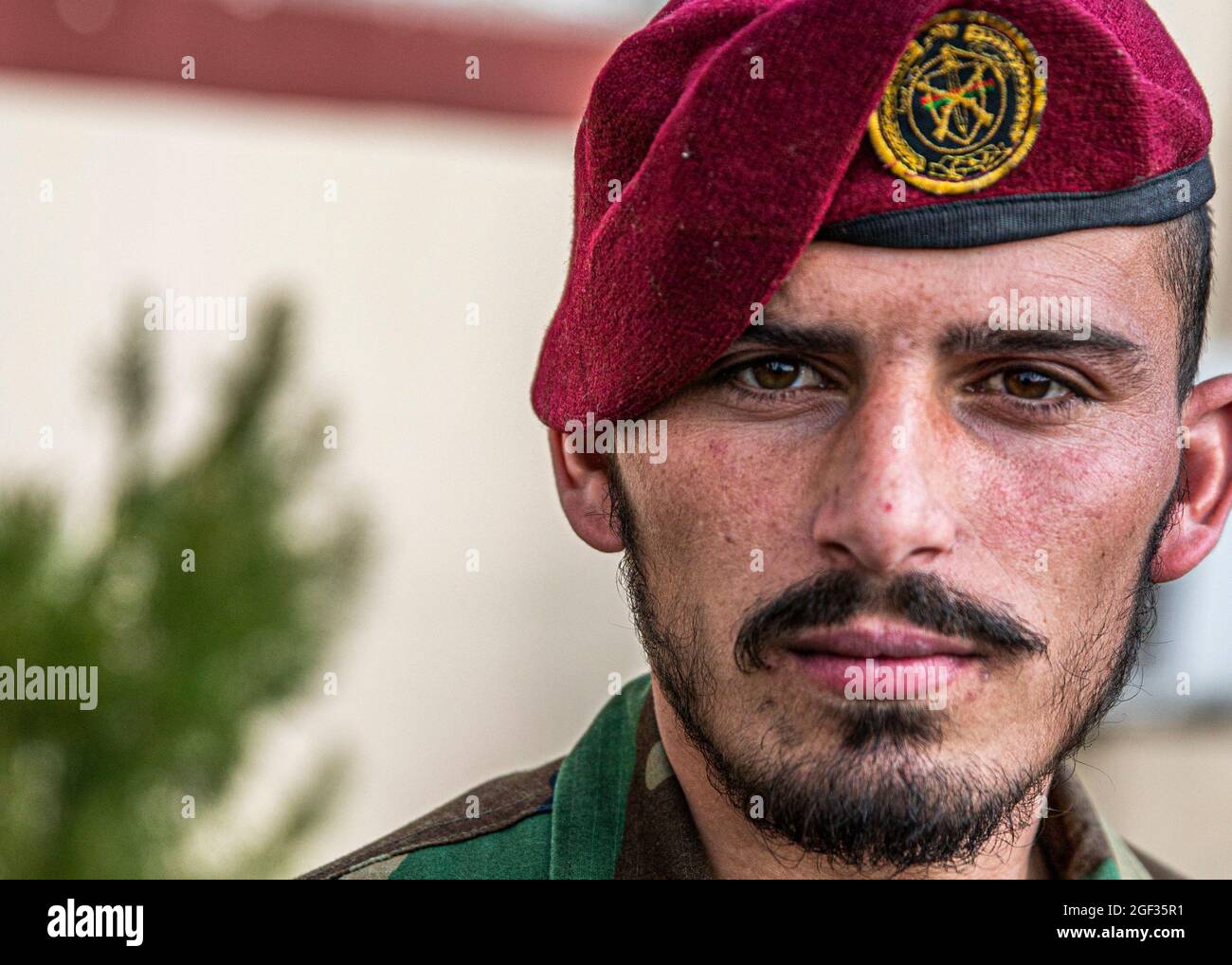 Un Commando dell'esercito nazionale afghano attende in formazione durante una visita del vice ministro della Difesa afghano Dr. Yasin Zia e del comandante del supporto Resolute Gen. Scott Miller a Kabul, Afghanistan, 3 marzo 2020. Il supporto risoluto è una missione guidata dalla NATO (North Atlantic Treaty Organization) per formare, consigliare e assistere le forze e le istituzioni di difesa e sicurezza nazionali afghane. (STATI UNITI Foto della riserva dell'esercito da SPC. Jeffery J. Harris/rilasciato) Foto Stock Un Commando dell'esercito nazionale afghano attende in formazione durante una visita del vice ministro della Difesa afghano Dr. Yasin Zia e del comandante del supporto Resolute Gen. Scott Miller a Kabul, Afghanistan, 3 marzo 2020. Il supporto risoluto è una missione guidata dalla NATO (North Atlantic Treaty Organization) per formare, consigliare e assistere le forze e le istituzioni di difesa e sicurezza nazionali afghane. (STATI UNITI Foto della riserva dell'esercito da SPC. Jeffery J. Harris/rilasciato) Foto Stock