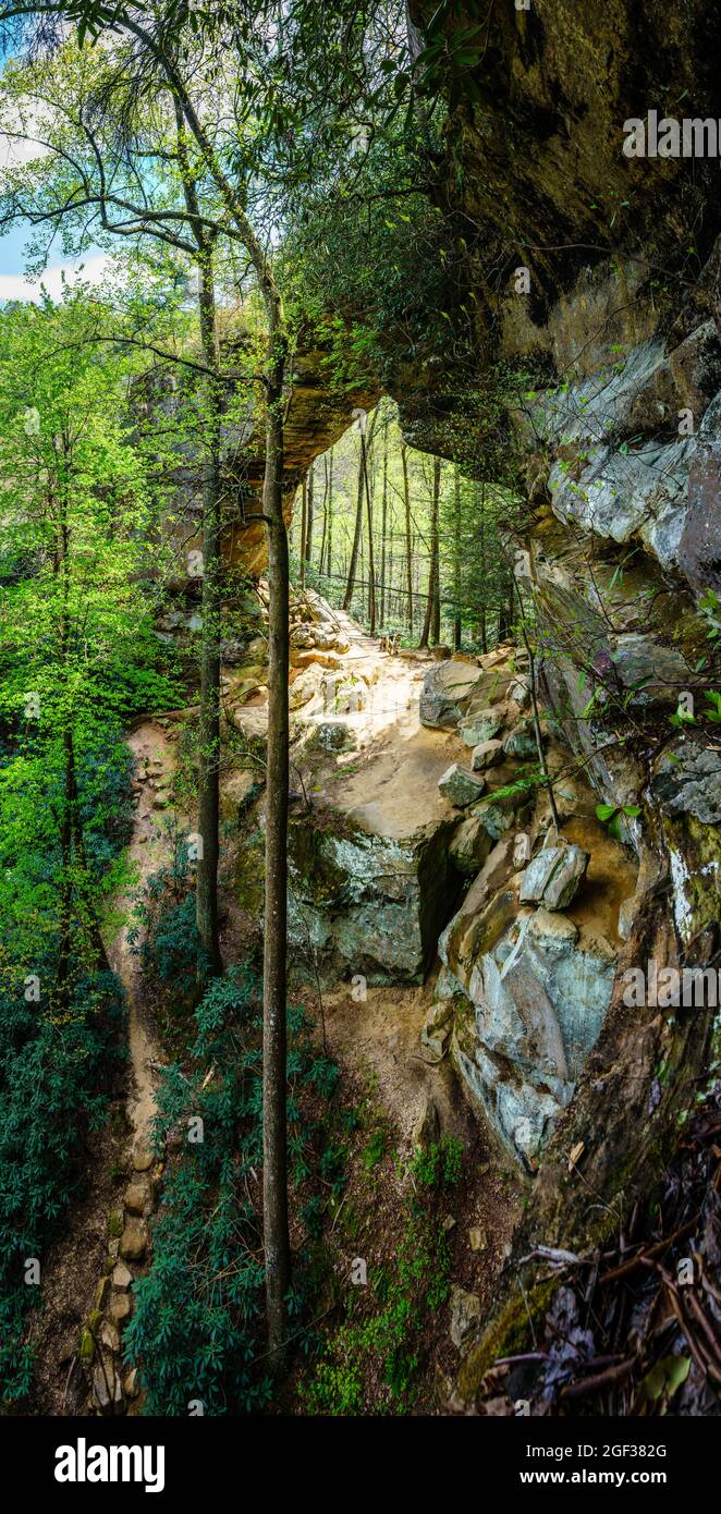 Vista panoramica del Grays Arch nella Red River Gorge in Kentucky Foto Stock