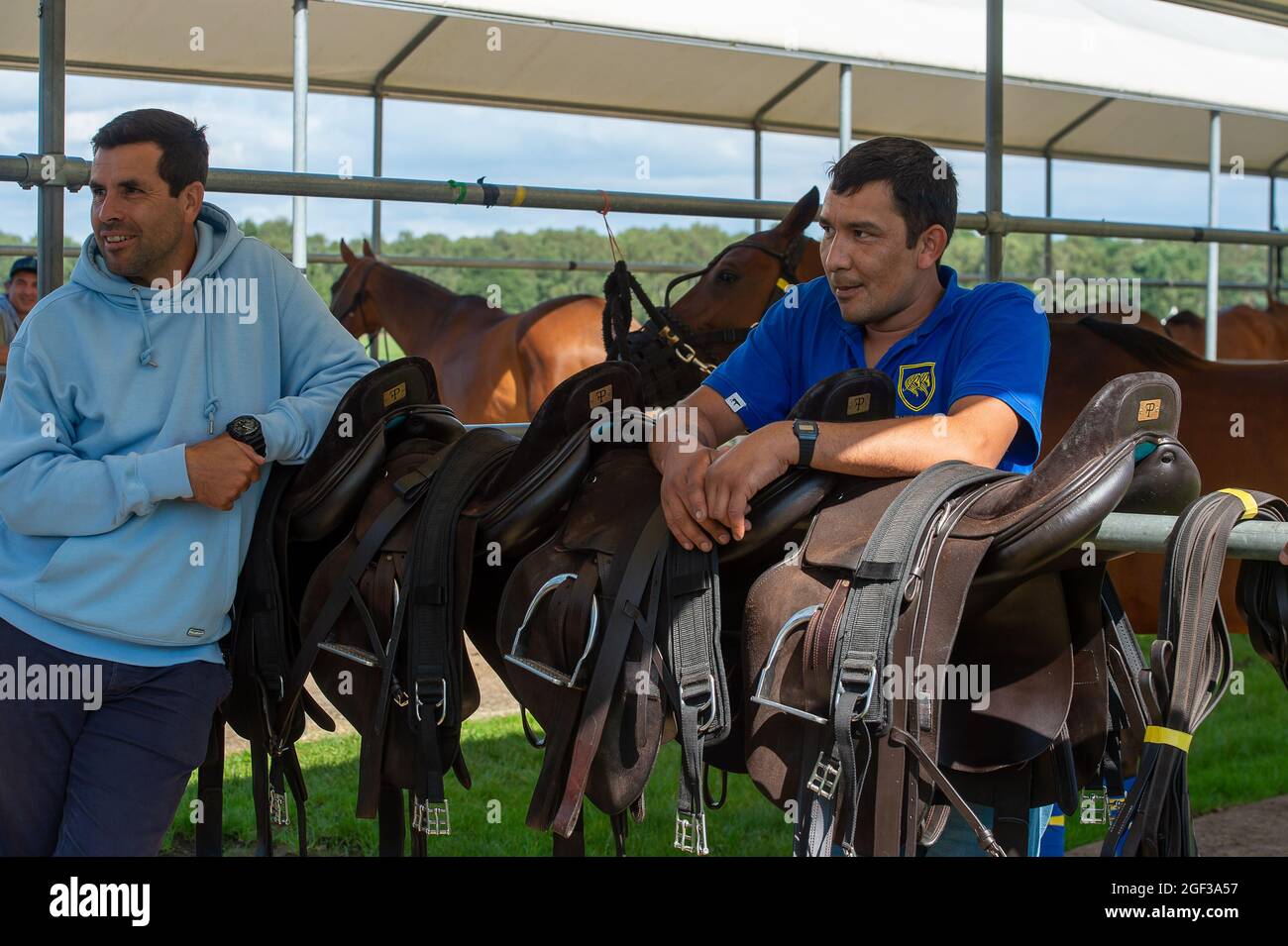 Egham, Surrey, Regno Unito. 22 agosto 2021. Il Polo Pony si allinea oggi al Guards Polo Club. Credit: Maureen McLean/Alamy Foto Stock