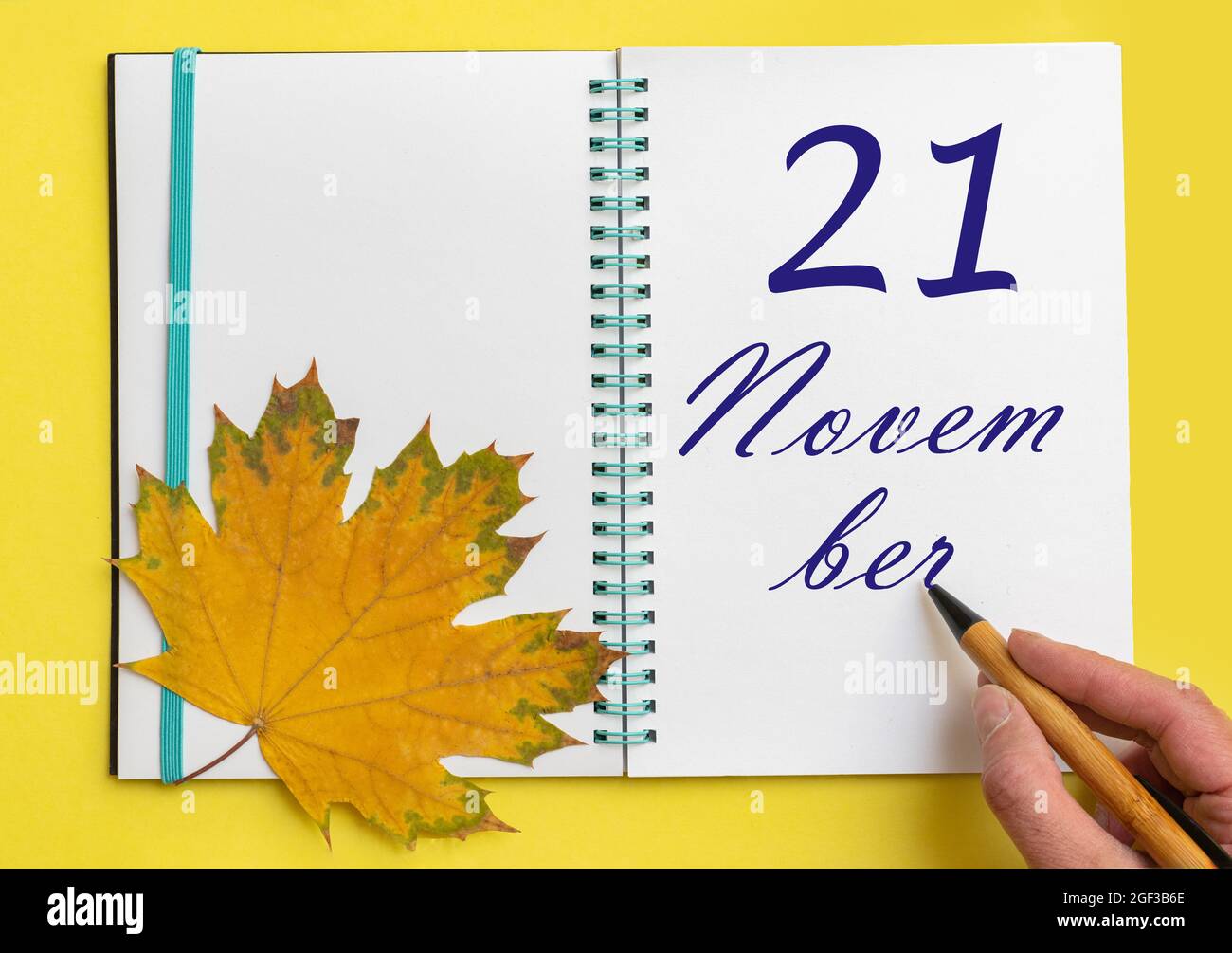 21 novembre. Scrivere a mano la data 21 novembre in un taccuino aperto con una bella foglia di acero naturale su sfondo giallo. Mese autunnale, Foto Stock