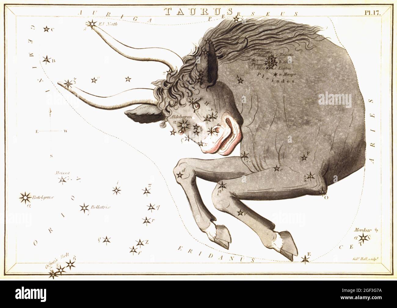 Vintage Sidney Hall, mappe astronomiche/astrologiche delle stelle - Taurus Foto Stock