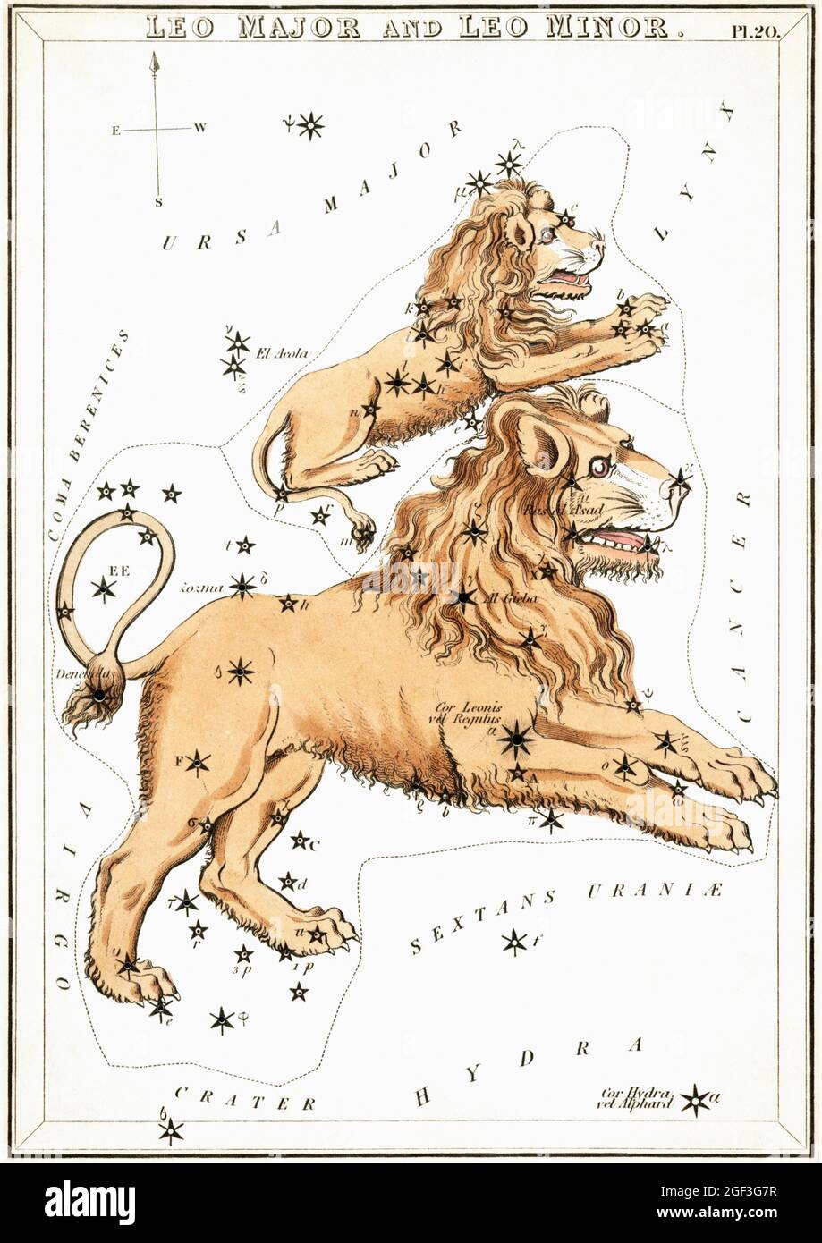 Vintage Sidney Hall, mappe astronomiche/astrologiche delle stelle - Leo Foto Stock