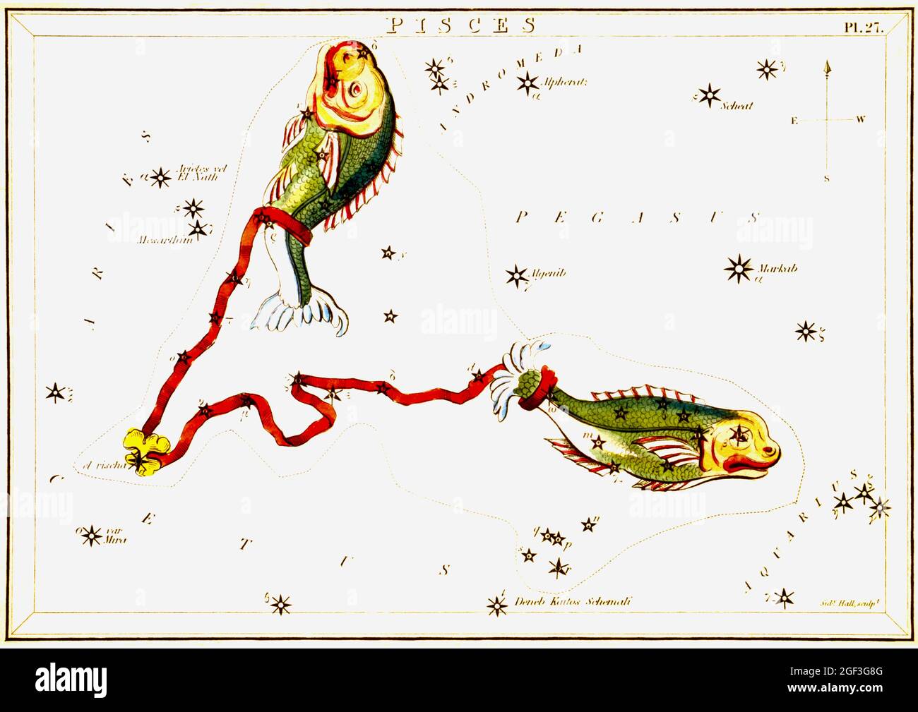 Vintage Sidney Hall, mappe astronomiche/astrologiche delle stelle - Pesci Foto Stock