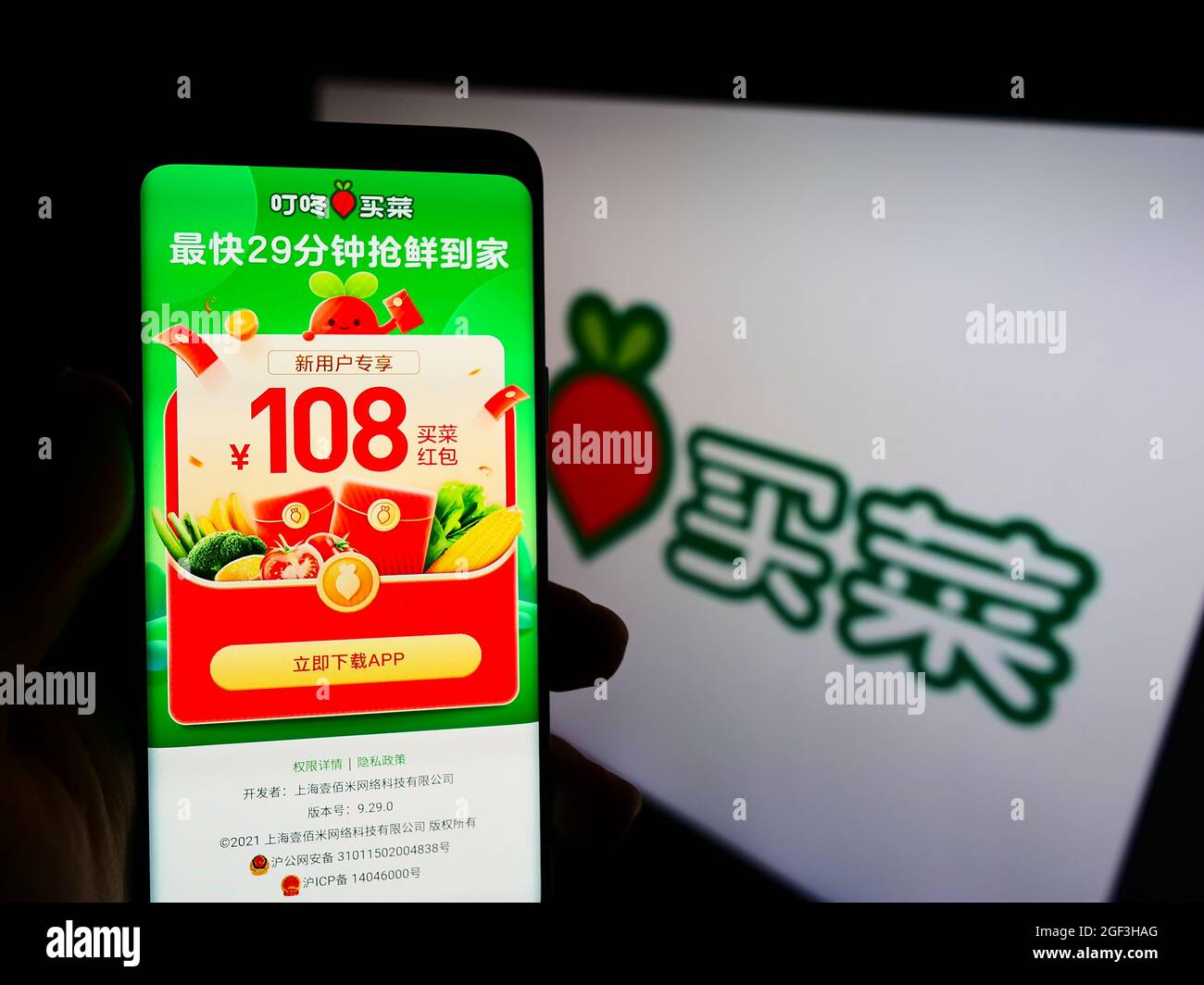 Persona che tiene smartphone con sito web della piattaforma di e-commerce cinese Dingdong Maicai sullo schermo di fronte al logo. Concentrarsi sul centro del display del telefono. Foto Stock