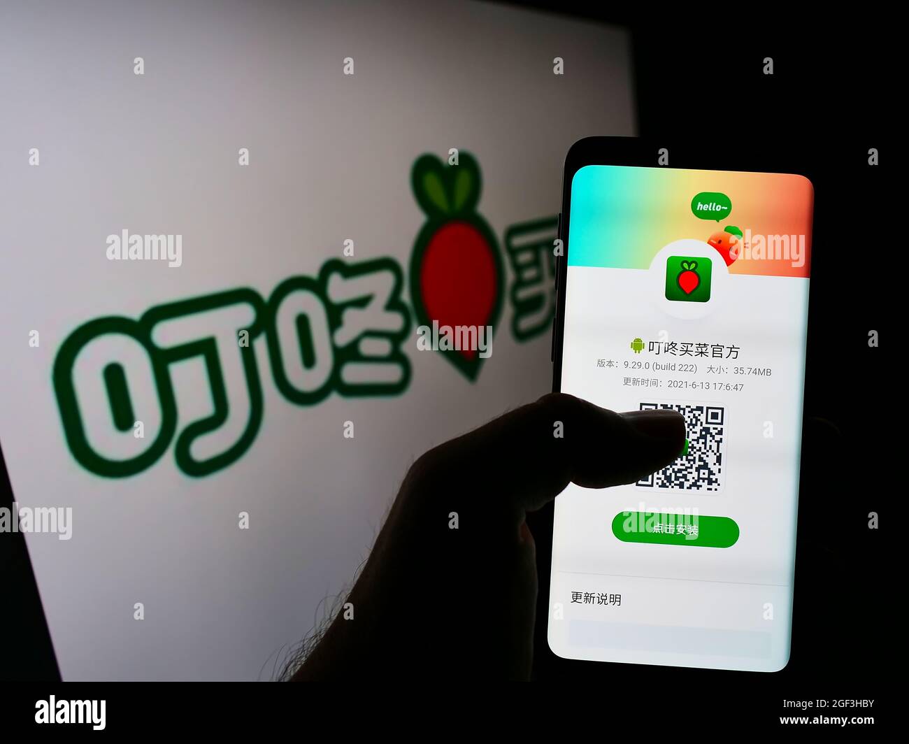 Persona che tiene il cellulare con la pagina web della piattaforma cinese di e-commerce Dingdong Maicai sullo schermo di fronte al logo. Concentrarsi sul centro del display del telefono. Foto Stock