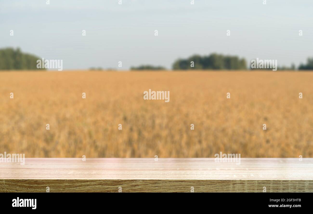 Sfondo tavola di grano. Tavolo vuoto in legno sullo sfondo di un campo estivo di grano dorato o segale. Modello per alimenti a base di farina, cottura, pane, birra. Foto di alta qualità Foto Stock