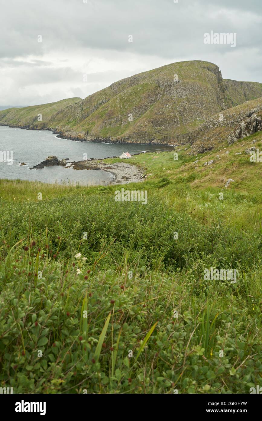 La casa o bothy su Eilean e Taighe nelle Isole Shianti con vegetazione mista che ha resistito alla pressione pascolo da parte delle pecore in primo piano. Foto Stock