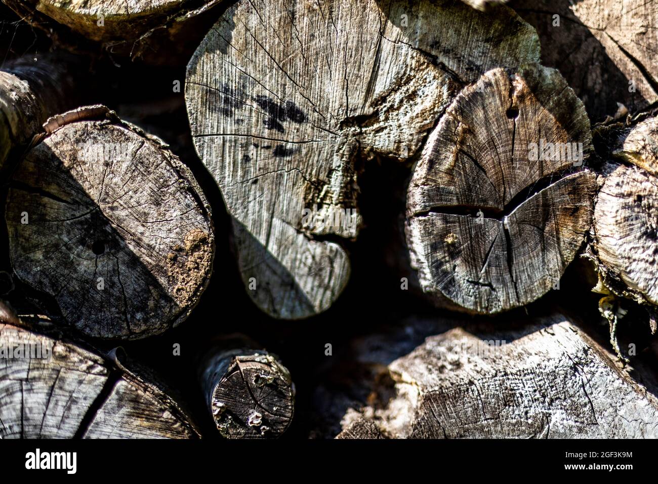 Grande bug hotel costruito con vari materiali per fornire habitat e sopra wintering rifugio per invertebrati. Foto Stock