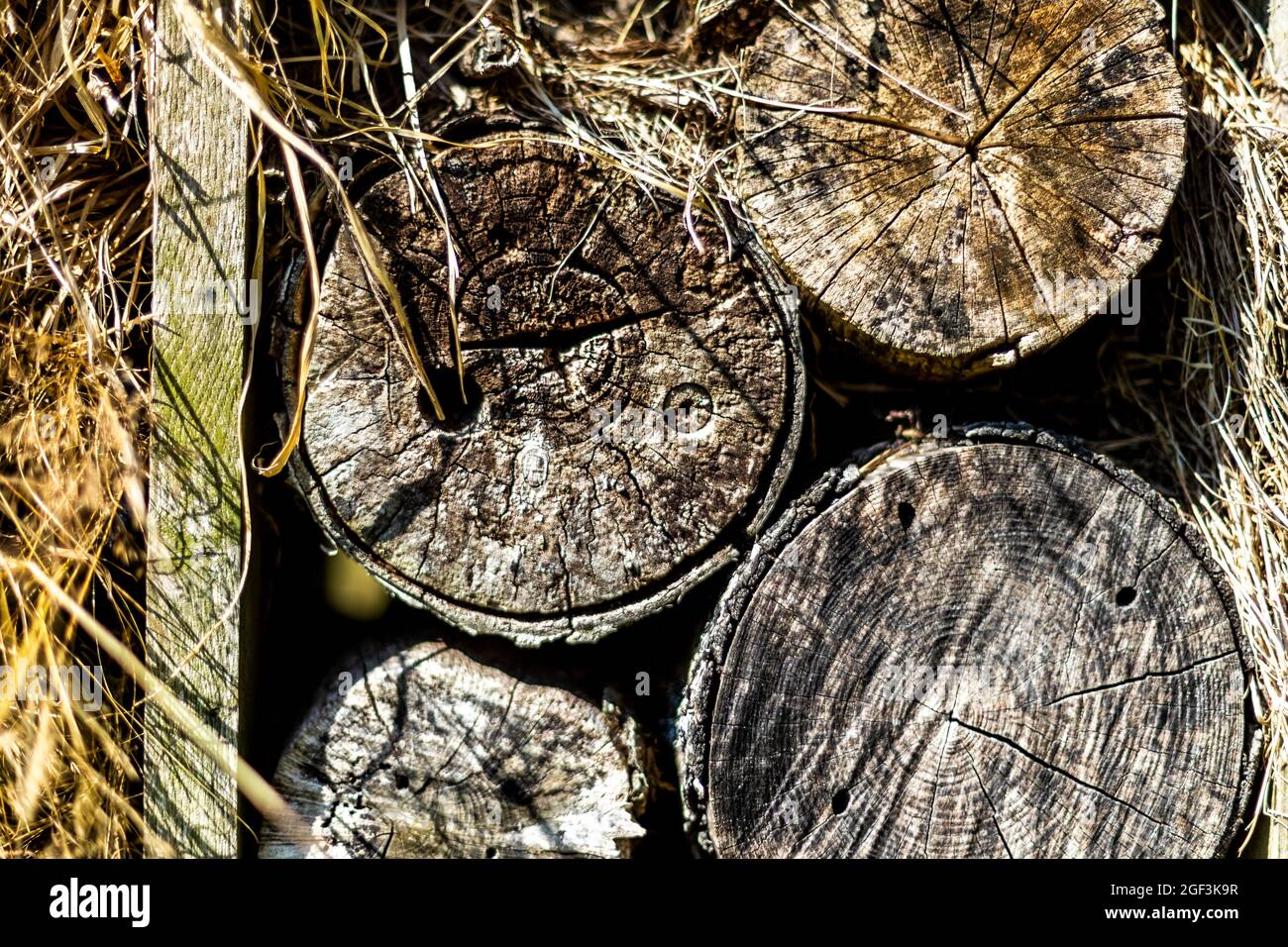 Grande bug hotel costruito con vari materiali per fornire habitat e sopra wintering rifugio per invertebrati. Foto Stock