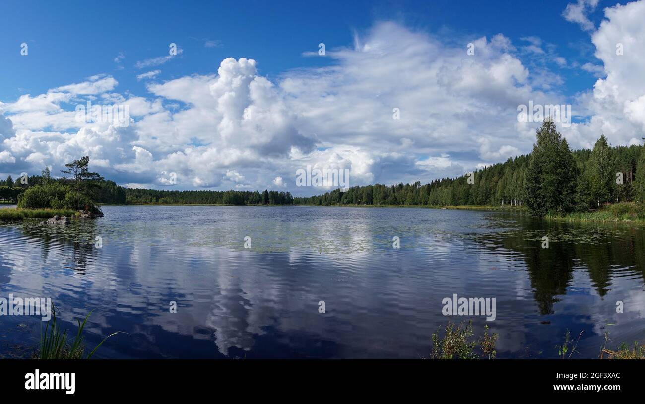 Un tranquillo idilliaco paesaggio lacustre con lussureggiante vegetazione estiva verde sotto un cielo blu con nuvole bianche Foto Stock