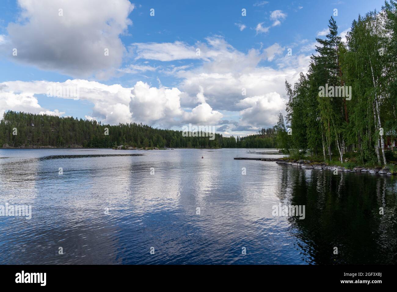 Idilliaco lago estivo e paesaggio forestale sotto un cielo blu con nuvole bianche di cumulo Foto Stock