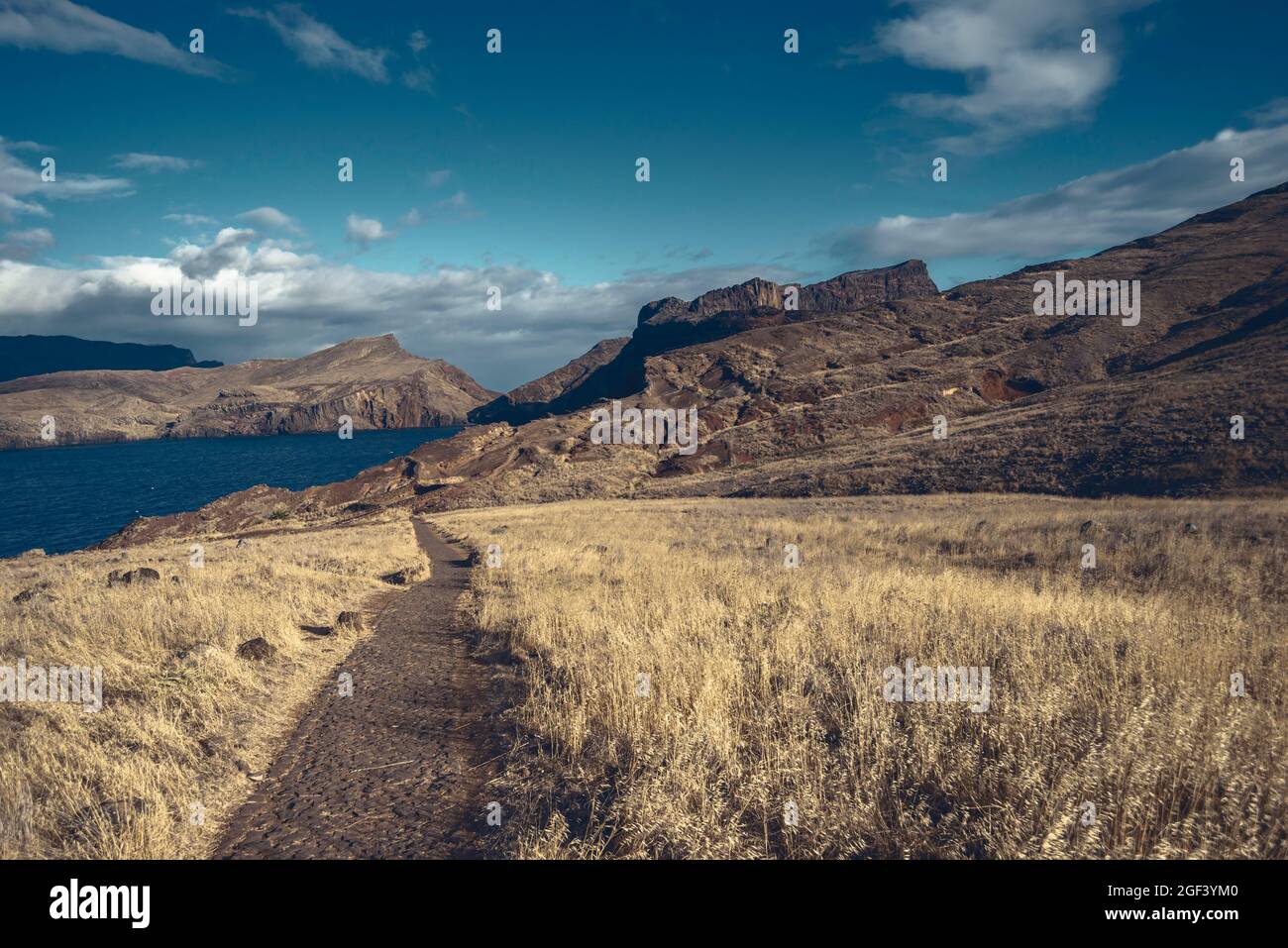 Paesaggio montano selvaggio dell'Isola di Madeira con sentiero che conduce lontano Foto Stock