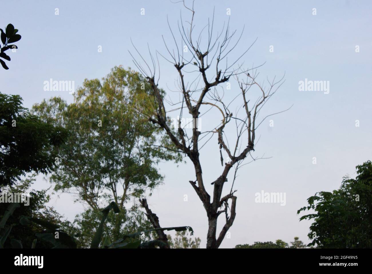 Il tempo è buono Foto Stock