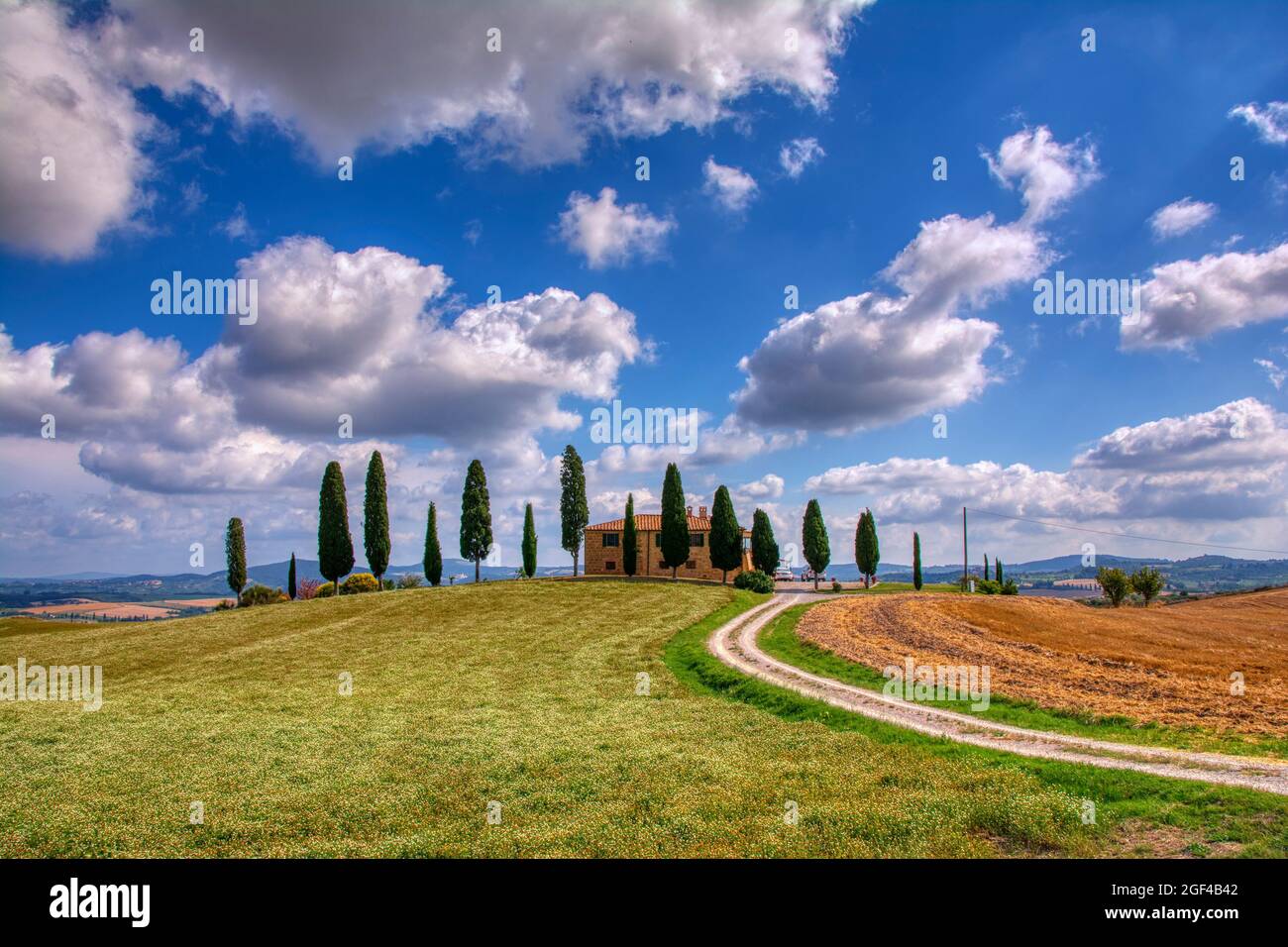 Toscana, Italia - Luglio 6, 2018: cipressi e prato con tipica casa toscana, Val d'Orcia, Italia - Toscana Foto Stock