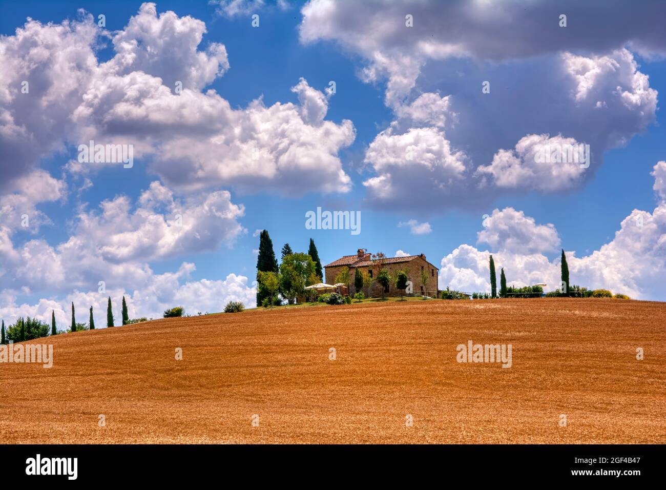 Toscana, Italia - Luglio 6, 2018: cipressi e prato con tipica casa toscana, Val d'Orcia, Italia - Toscana Foto Stock