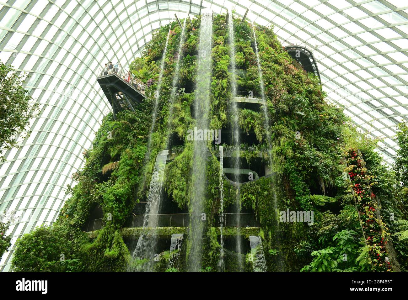 Singapore, Gardens by the Bay. Cupola della foresta nuvolosa. Foto Stock