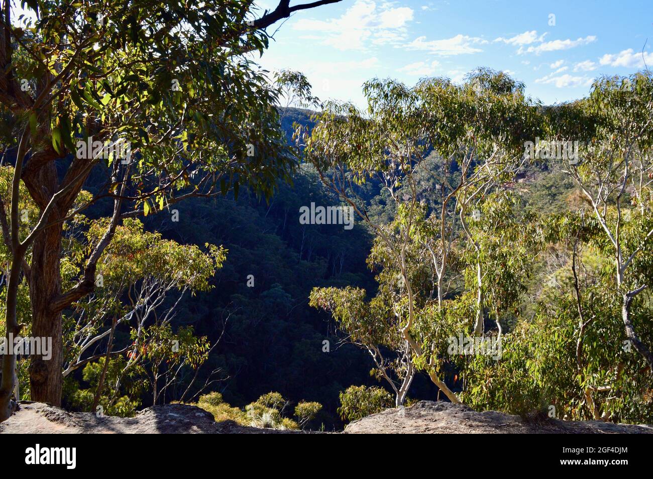 Eco Bluff nelle Blue Mountains Foto Stock