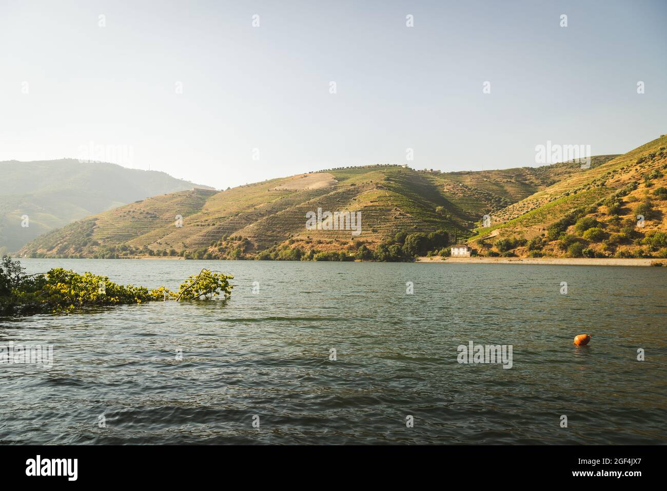 Fiume Douro e le colline del vino a peso da Régua Foto Stock