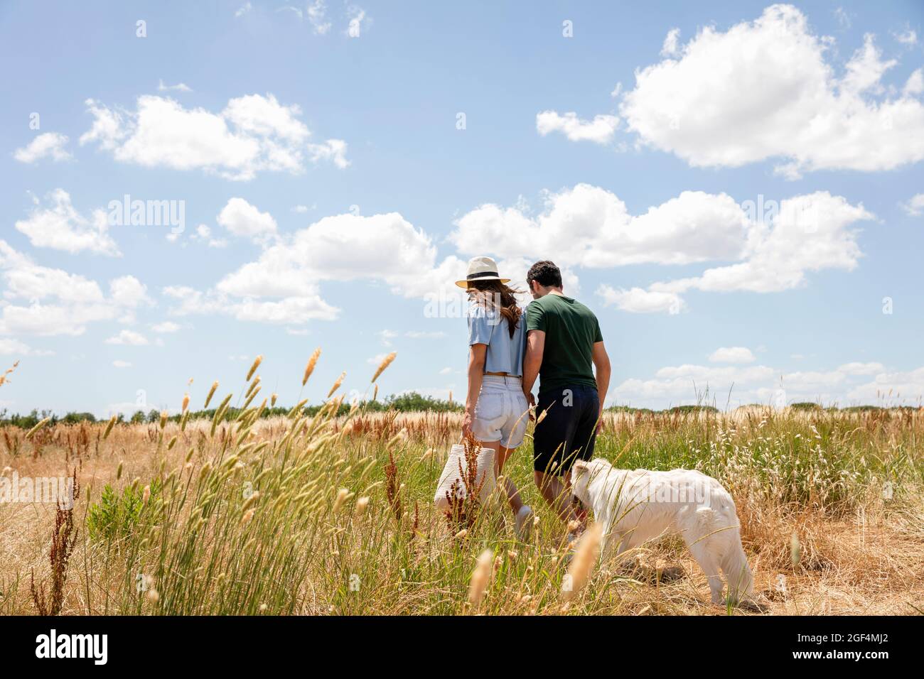 Coppia che cammina con il cane al prato in giorno di sole Foto Stock