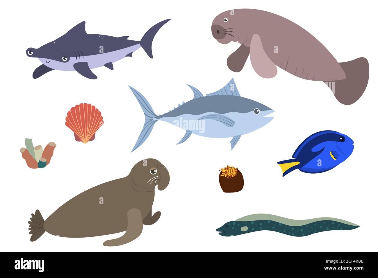Set di animali di mare - squalo hummerhead tonno elefante mare manghi surgeonfish. Gli habitat sottomarini del mondo stampano. Collezione vita subacquea disegnata a mano. Divertente personaggio di animali marini cartone animato per i bambini. Illustrazione Vettoriale