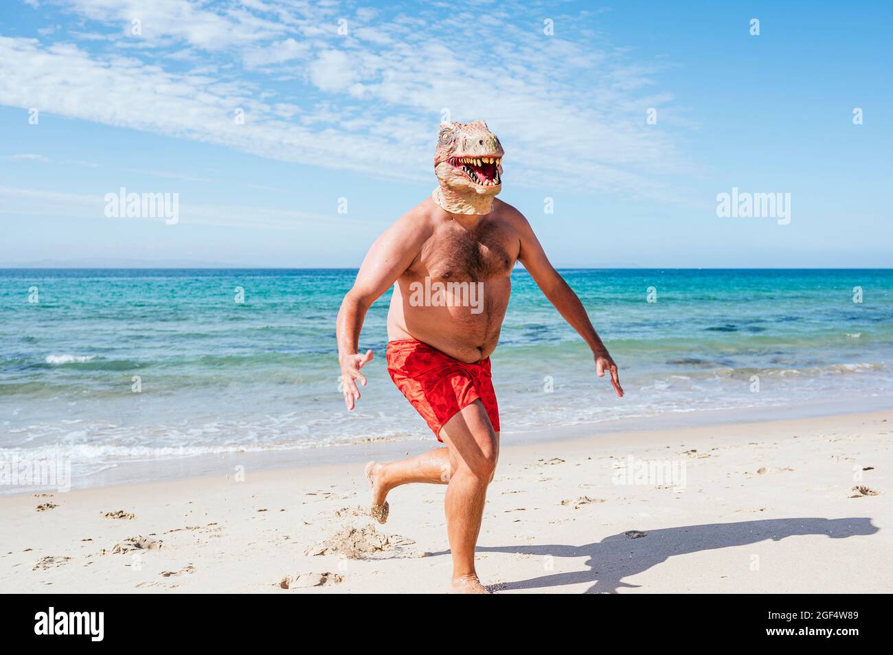 Uomo che indossa la maschera di lucertola in piedi con le braccia incrociate in spiaggia Foto Stock