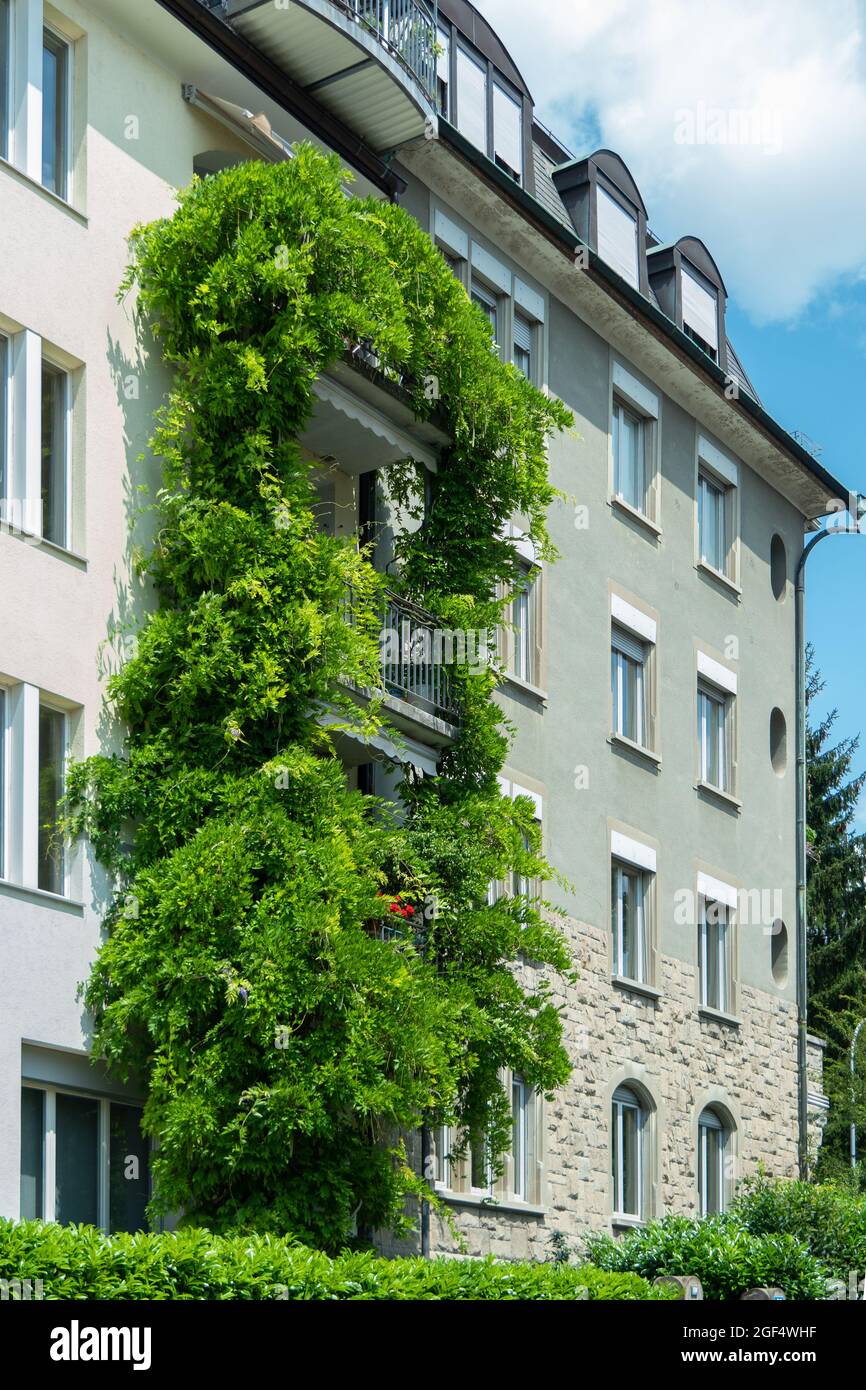 Zurigo, Svizzera - 13 luglio 2019: Facciata verde su un vecchio edificio Foto Stock