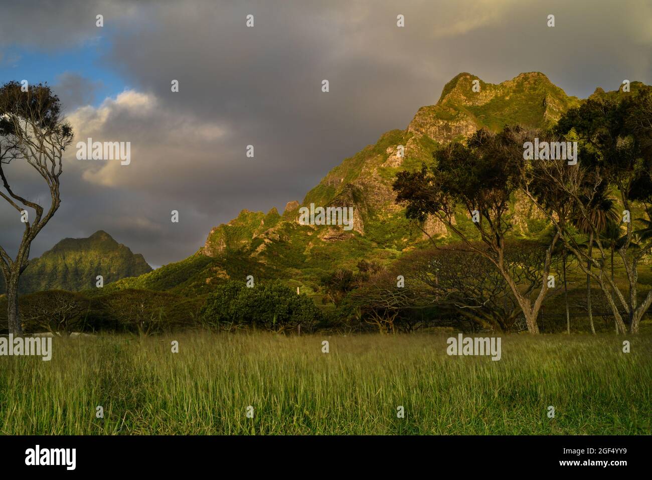 Spettacolari montagne illuminate all'alba al Kualoa Ranch, viste dal Kualoa Regional Park, Oahu, Hawaii, USA Foto Stock