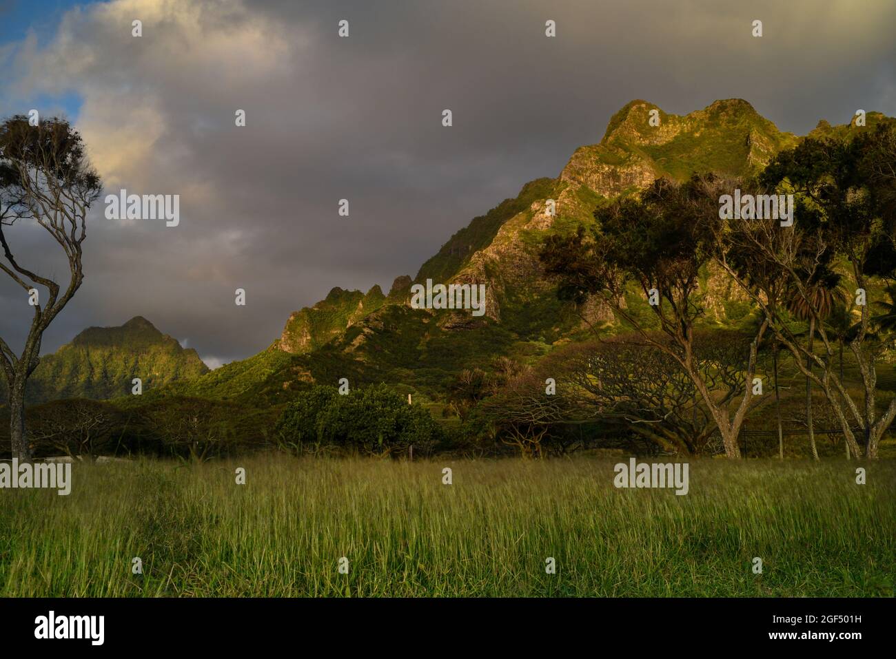 Spettacolari montagne illuminate all'alba al Kualoa Ranch, viste dal Kualoa Regional Park, Oahu, Hawaii, USA Foto Stock