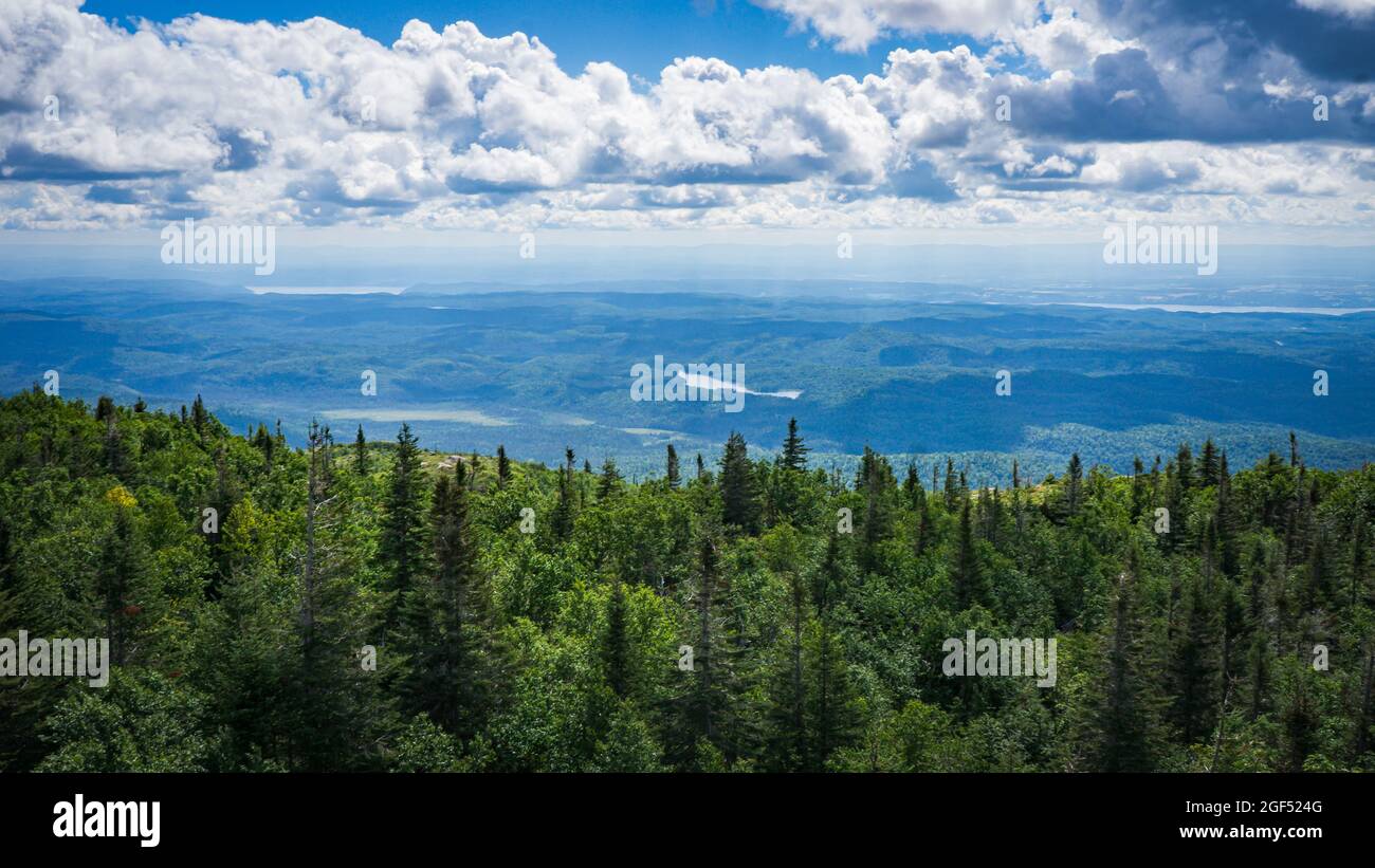 Vista su Saguenay in una giornata estiva dalla cima di Pic de la Hutte, un picco situato nel Parco Nazionale di Monts Valin (Quebec, Canada) Foto Stock