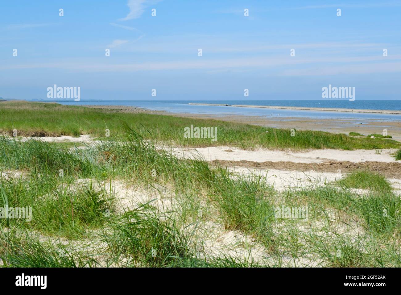 Spiaggia costiera erbosa a Wadden Sea National Parks Foto Stock