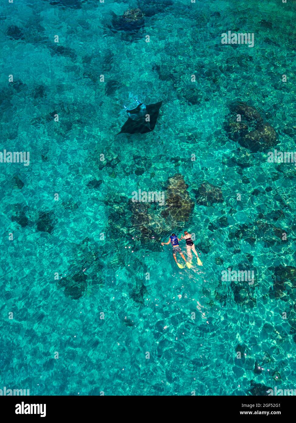 Vista aerea di due persone che nuotano vicino a Manta ray nelle acque turchesi dell'Oceano Pacifico Foto Stock