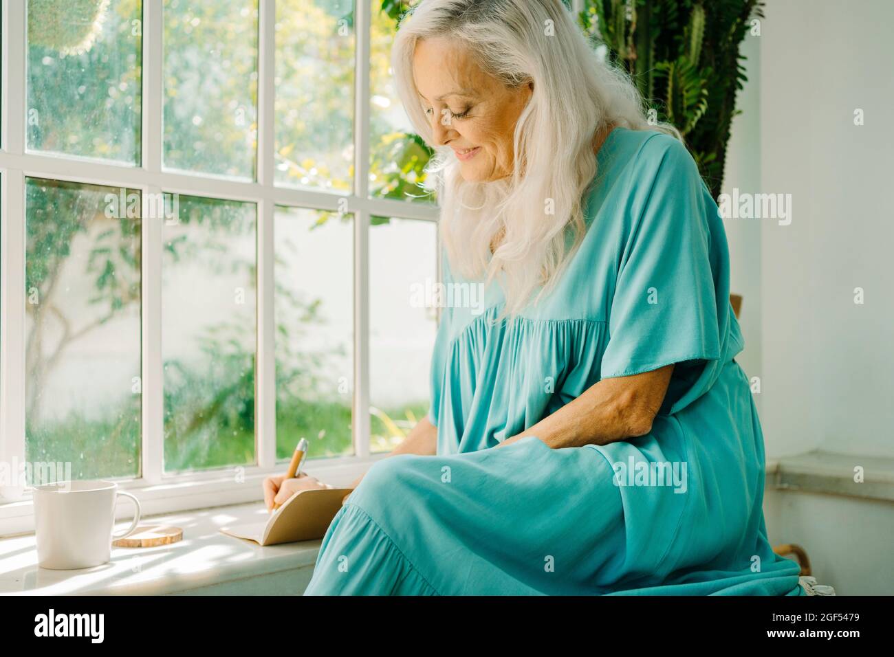 Donna anziana iscritto nel libro mentre seduto dalla finestra a casa Foto Stock