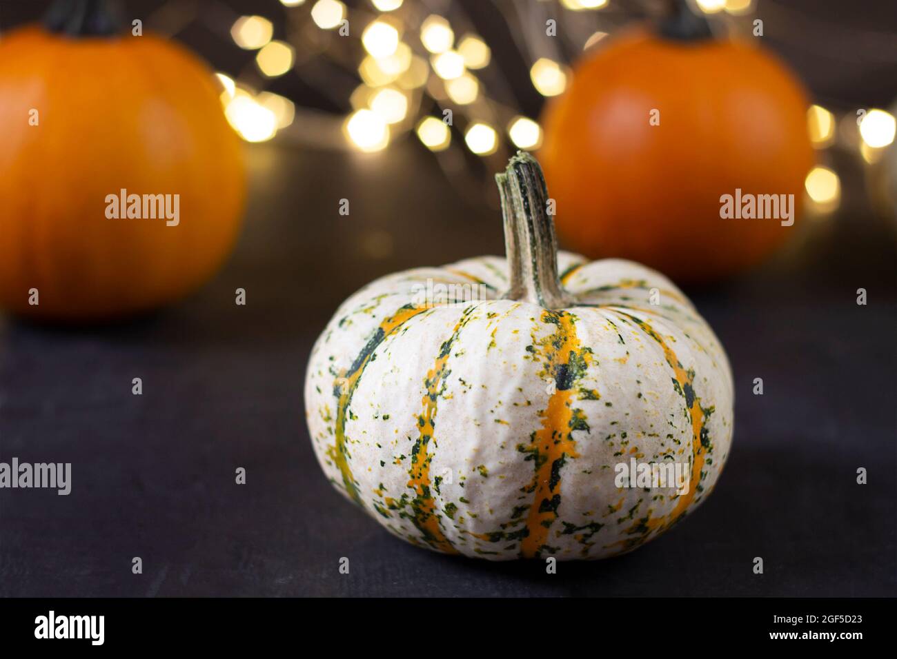 Sfondo di ringraziamento. Giorno di ringraziamento sfondo autunno. Carta di ringraziamento. Sfondo festivo di ringraziamento Foto Stock