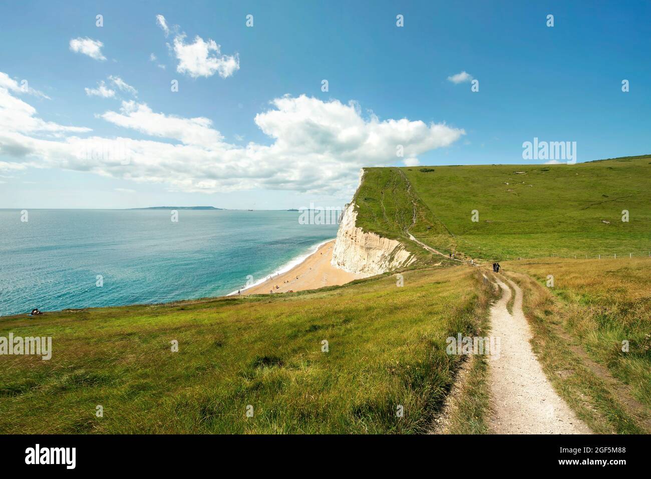 Sentiero escursionistico verso le scogliere di Bat's Head, a ovest di Durdle Door. Lulworth Estate, Dorset, Regno Unito. Ago 2021 Foto Stock