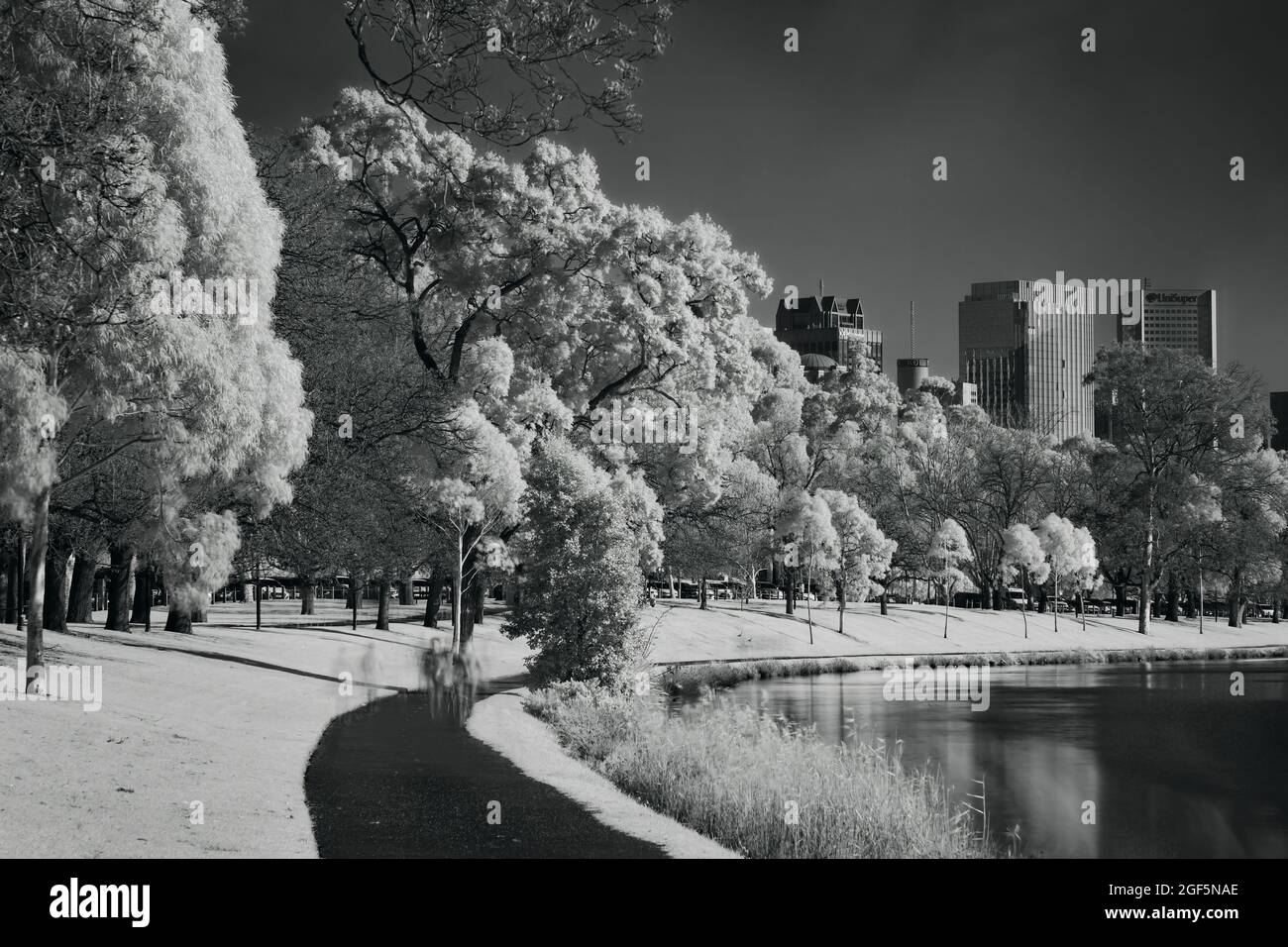 Yarra Trail infrarosso Foto Stock