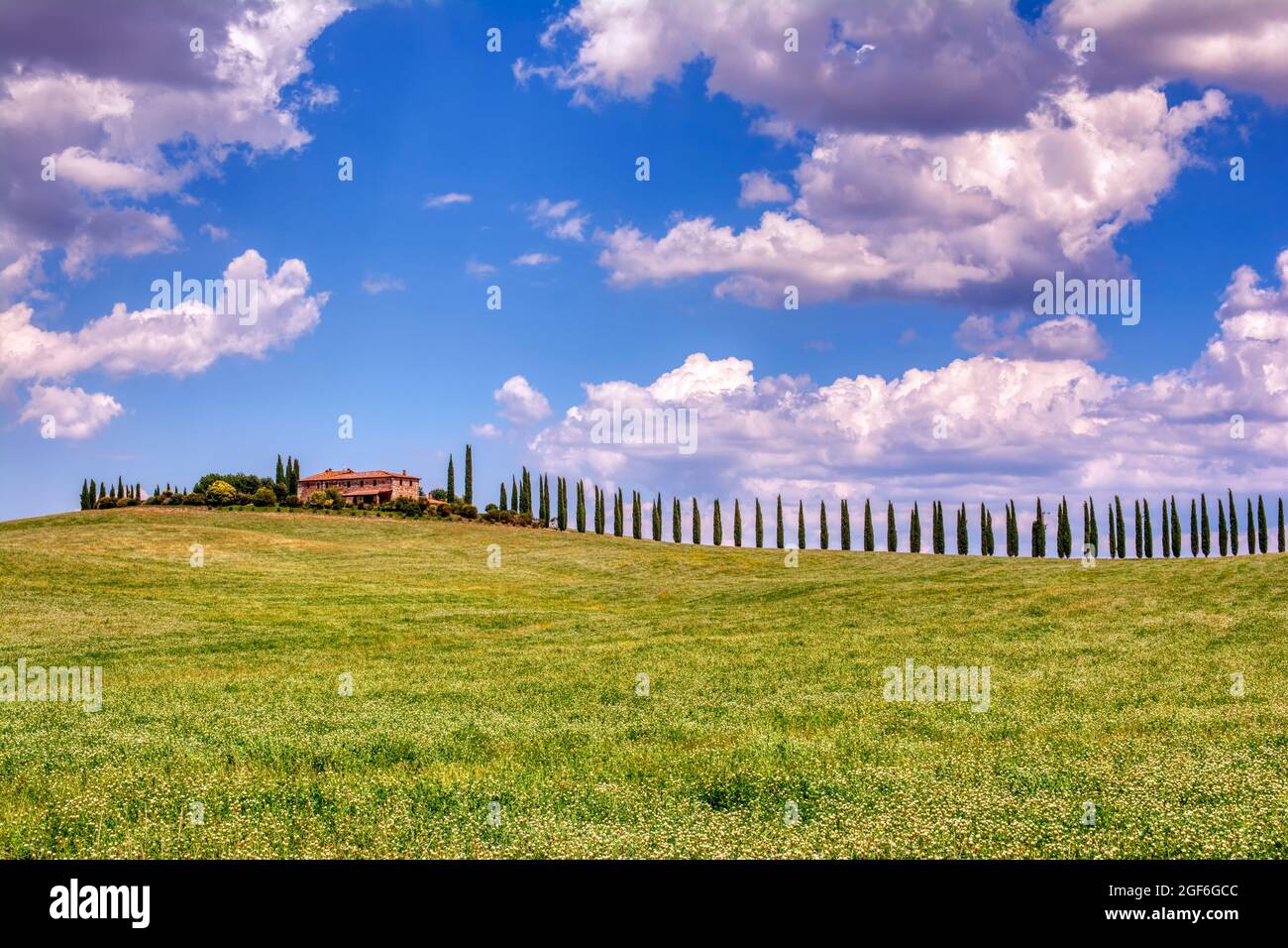 Toscana, Italia - Luglio 6, 2018: cipressi e prato con tipica casa toscana, Val d'Orcia, Italia - Toscana Foto Stock