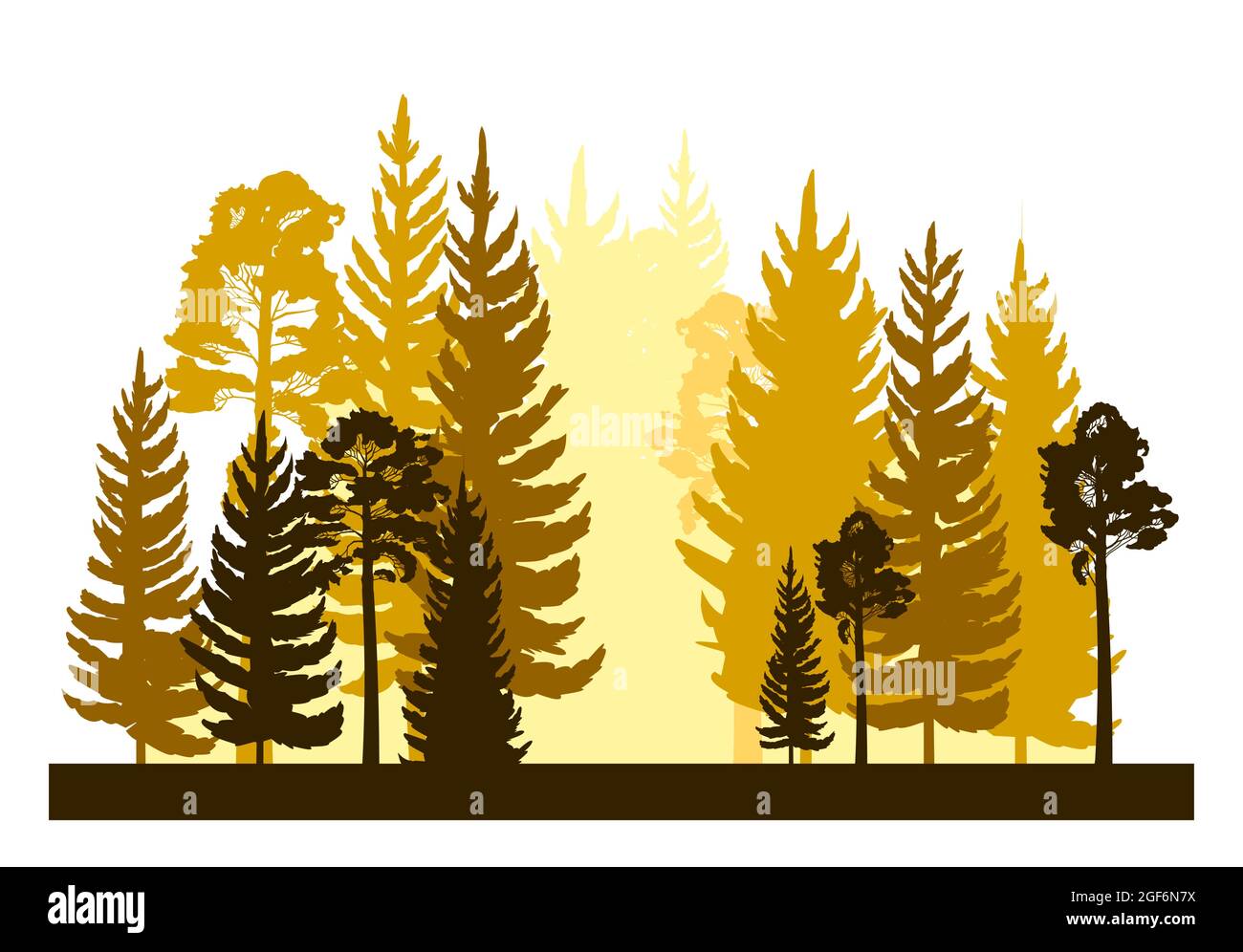 Silhouette della foresta. Paesaggio con alberi di conifere. Splendida vista mattutina. Pino e abete rosso. Natura estiva. Vettore di illustrazione isolato. Illustrazione Vettoriale