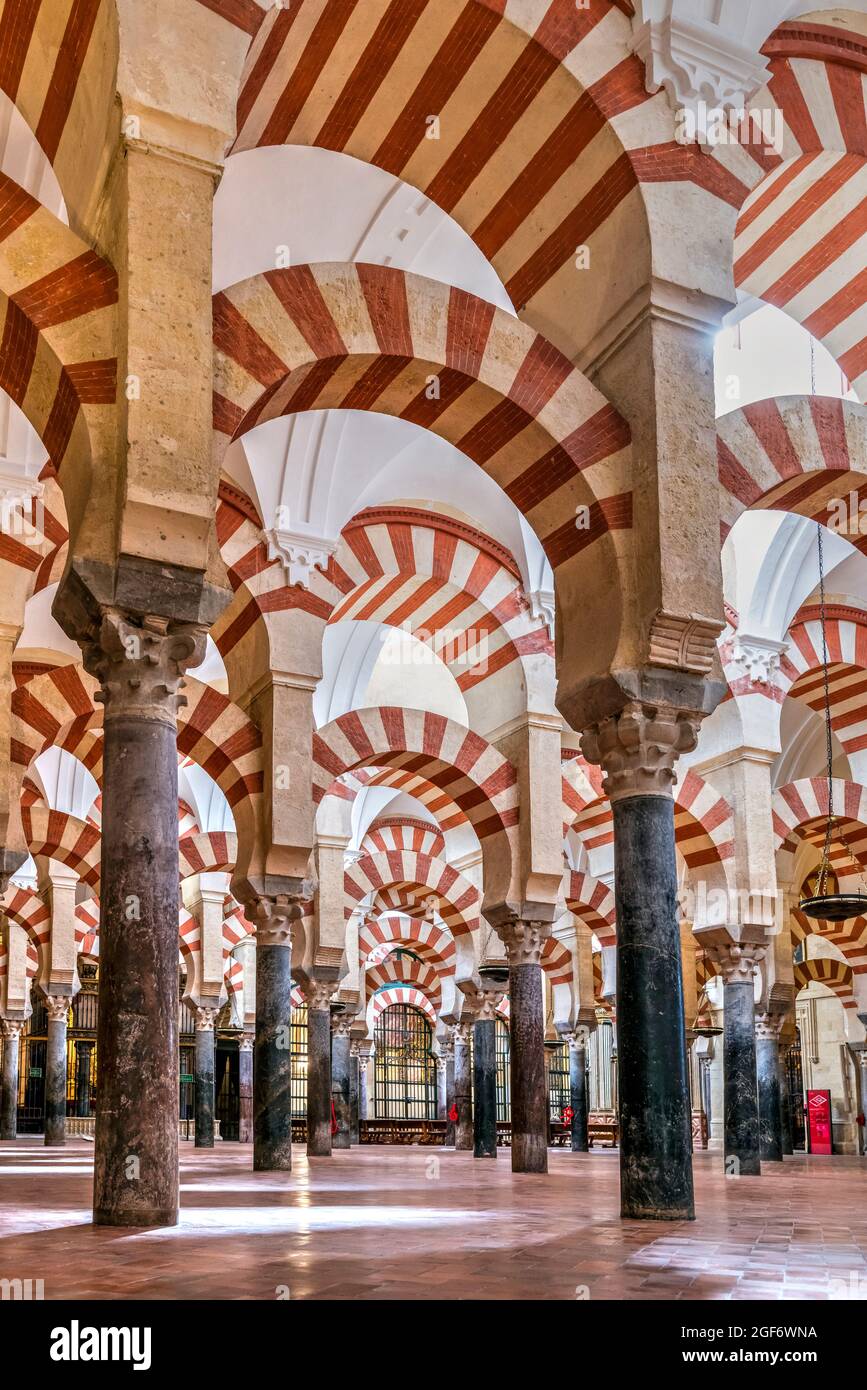 Colonne e archi a doppio livello nella sezione originale dell'edificio della moschea all'interno della Cattedrale, Cordoba, Andalusia, Spagna Foto Stock