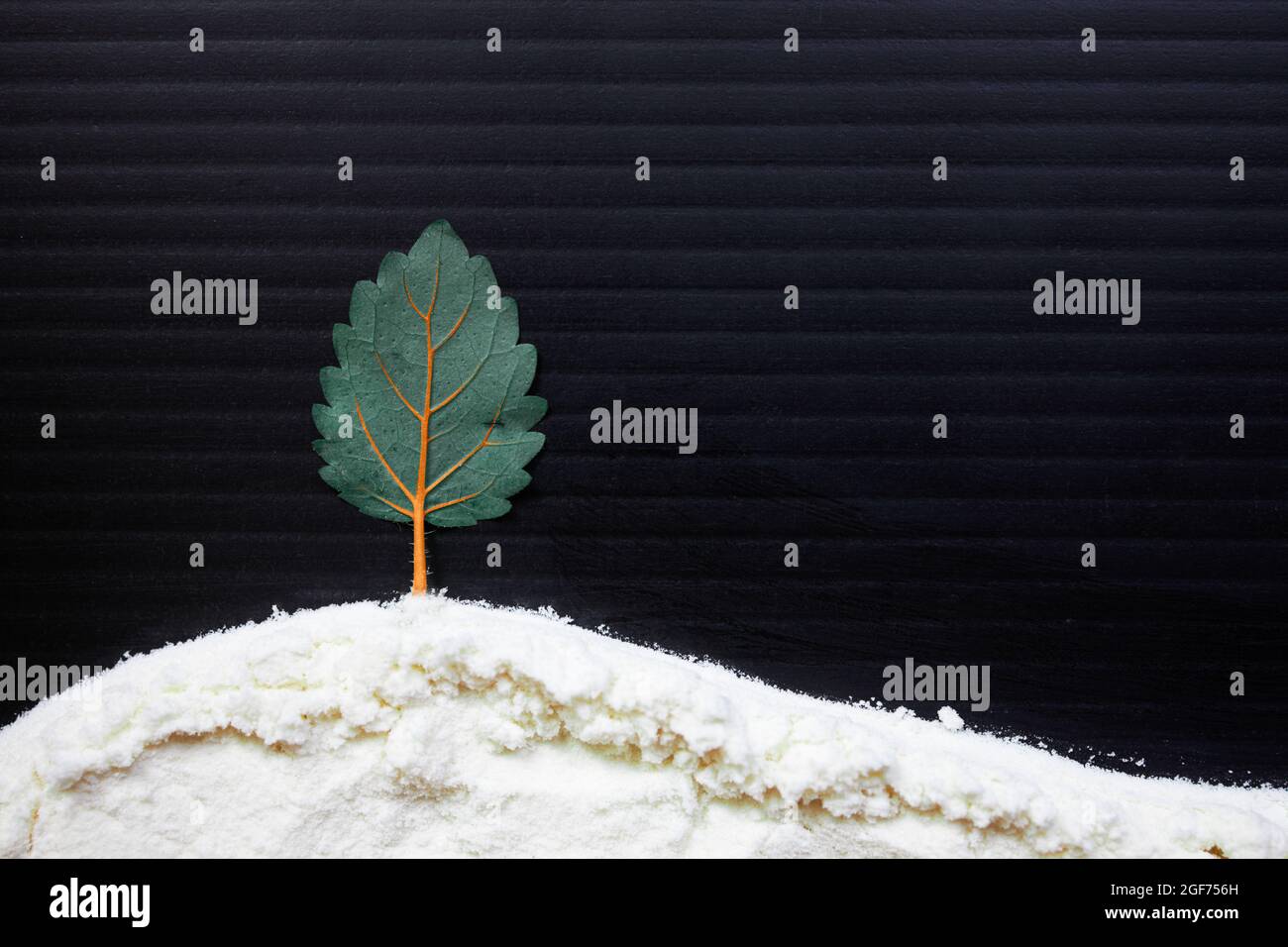 Bell'albero in una fredda notte invernale Foto Stock