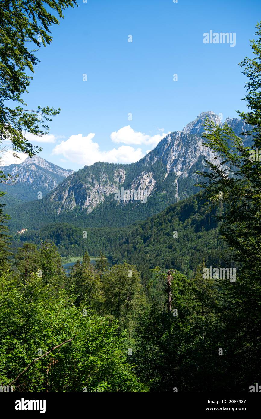Schwansee, ai piedi delle Alpi, cielo blu, Alpi Ammergau, Allgaeu orientale, Schwangau, Baviera, Germania Foto Stock